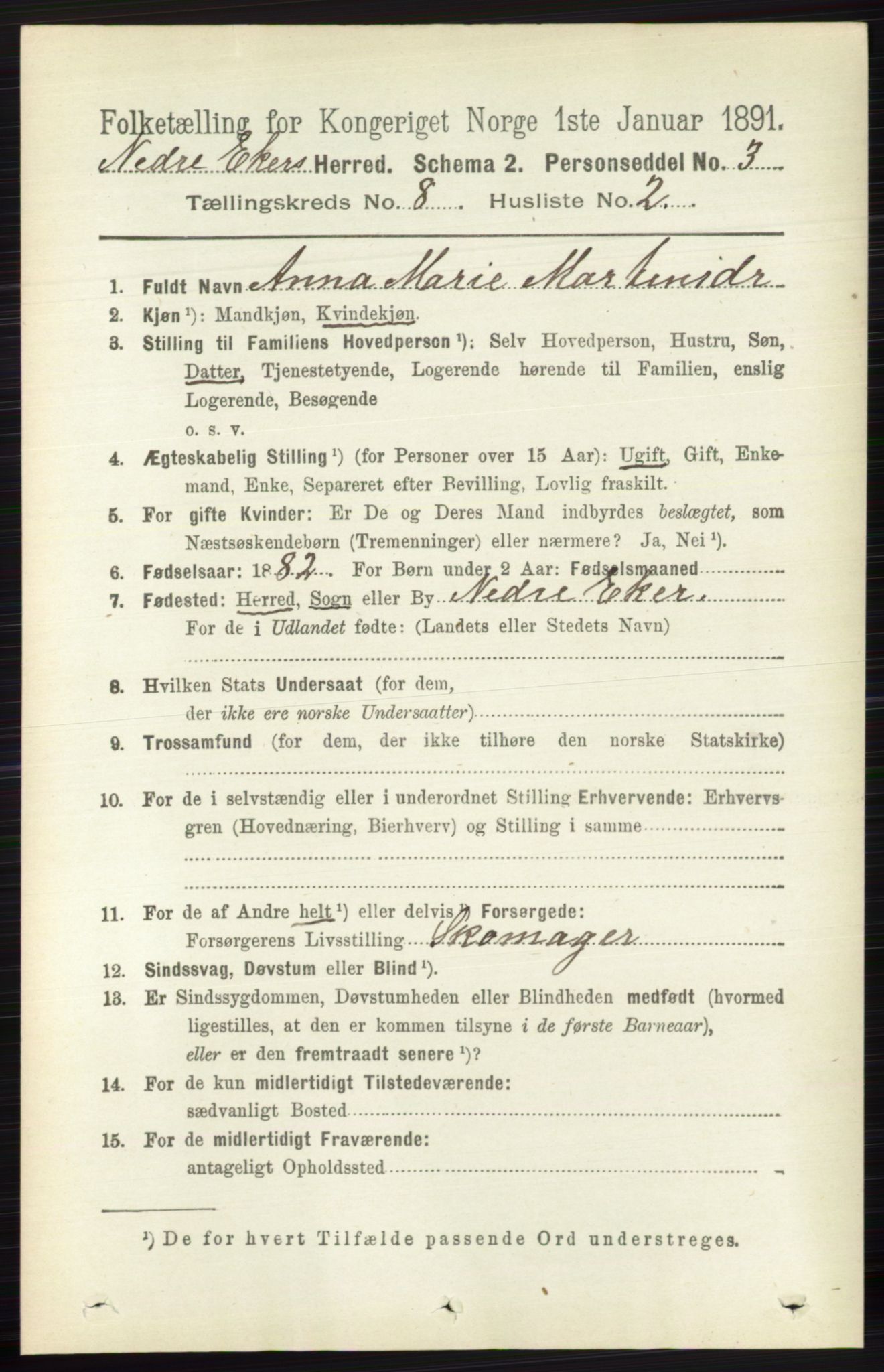 RA, 1891 census for 0625 Nedre Eiker, 1891, p. 3966