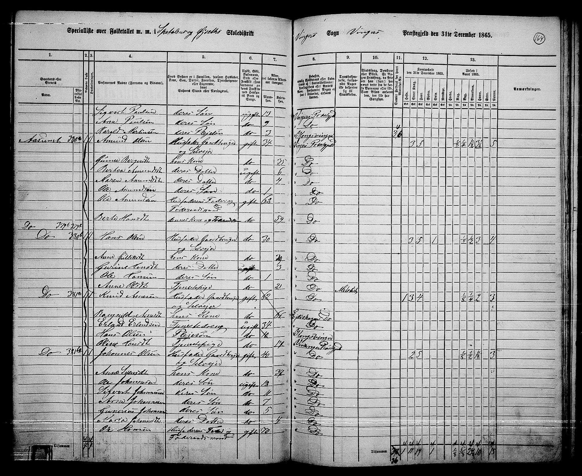 RA, 1865 census for Vinger/Vinger og Austmarka, 1865, p. 149