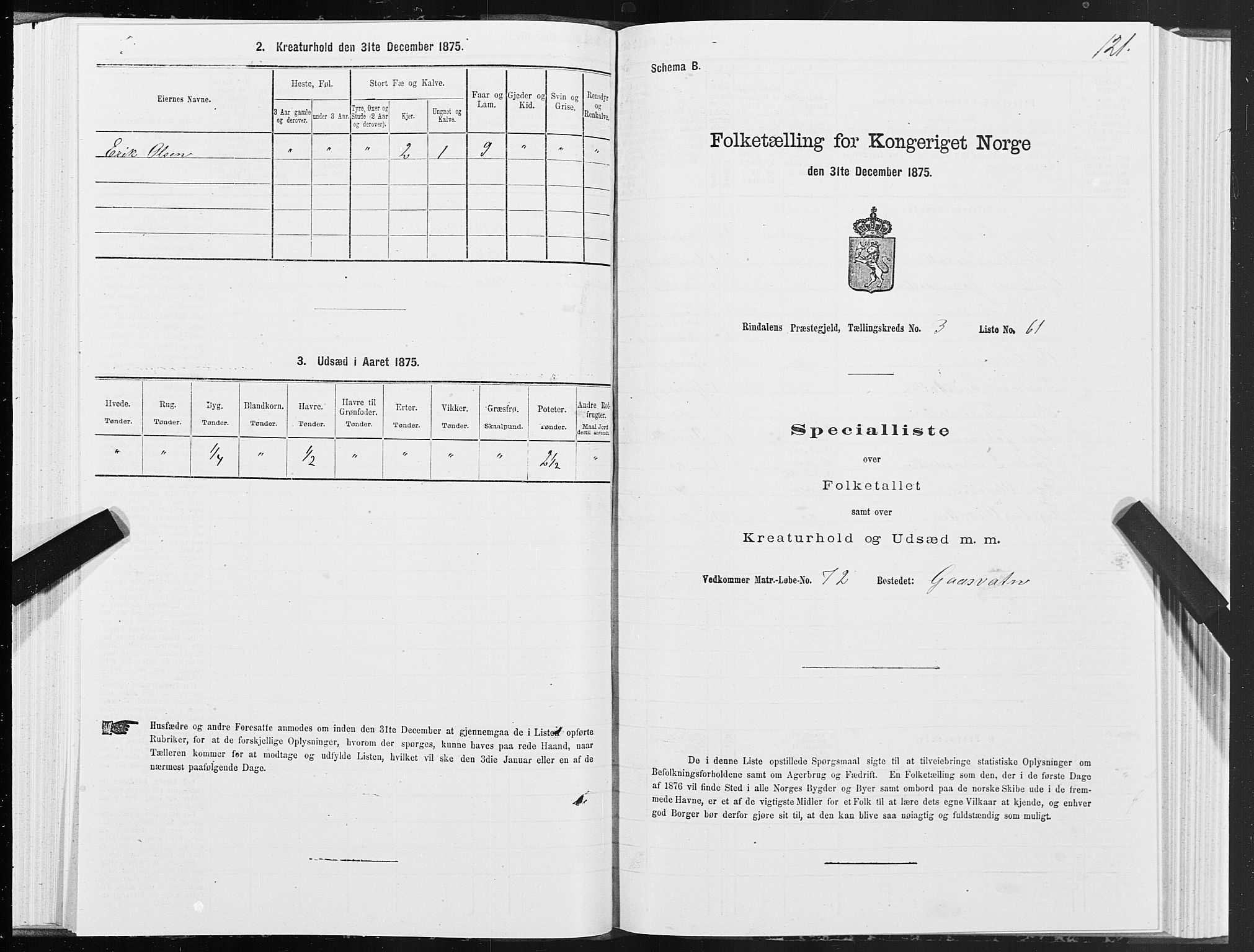 SAT, 1875 census for 1567P Rindal, 1875, p. 2121