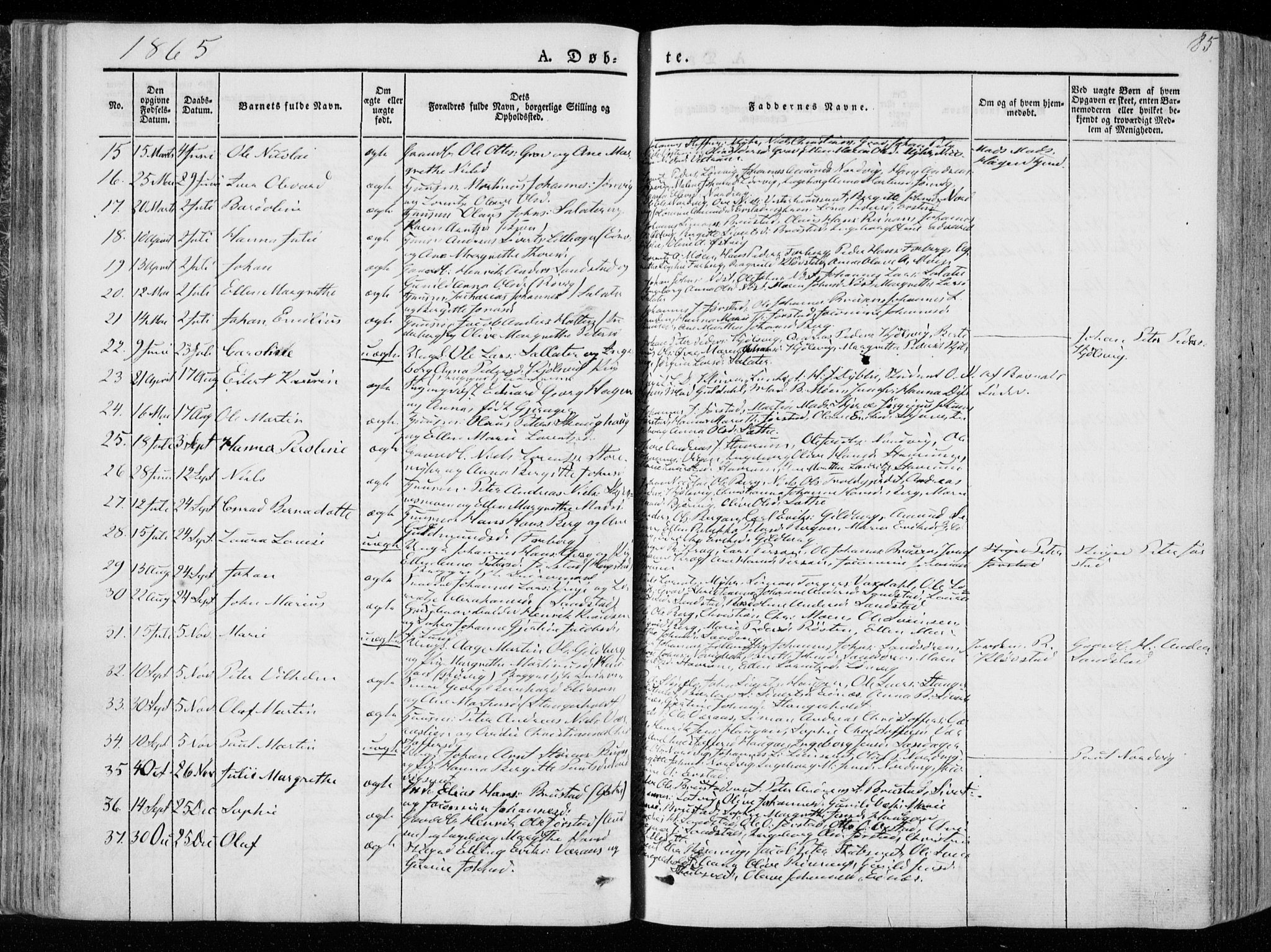 Ministerialprotokoller, klokkerbøker og fødselsregistre - Nord-Trøndelag, AV/SAT-A-1458/722/L0218: Parish register (official) no. 722A05, 1843-1868, p. 85