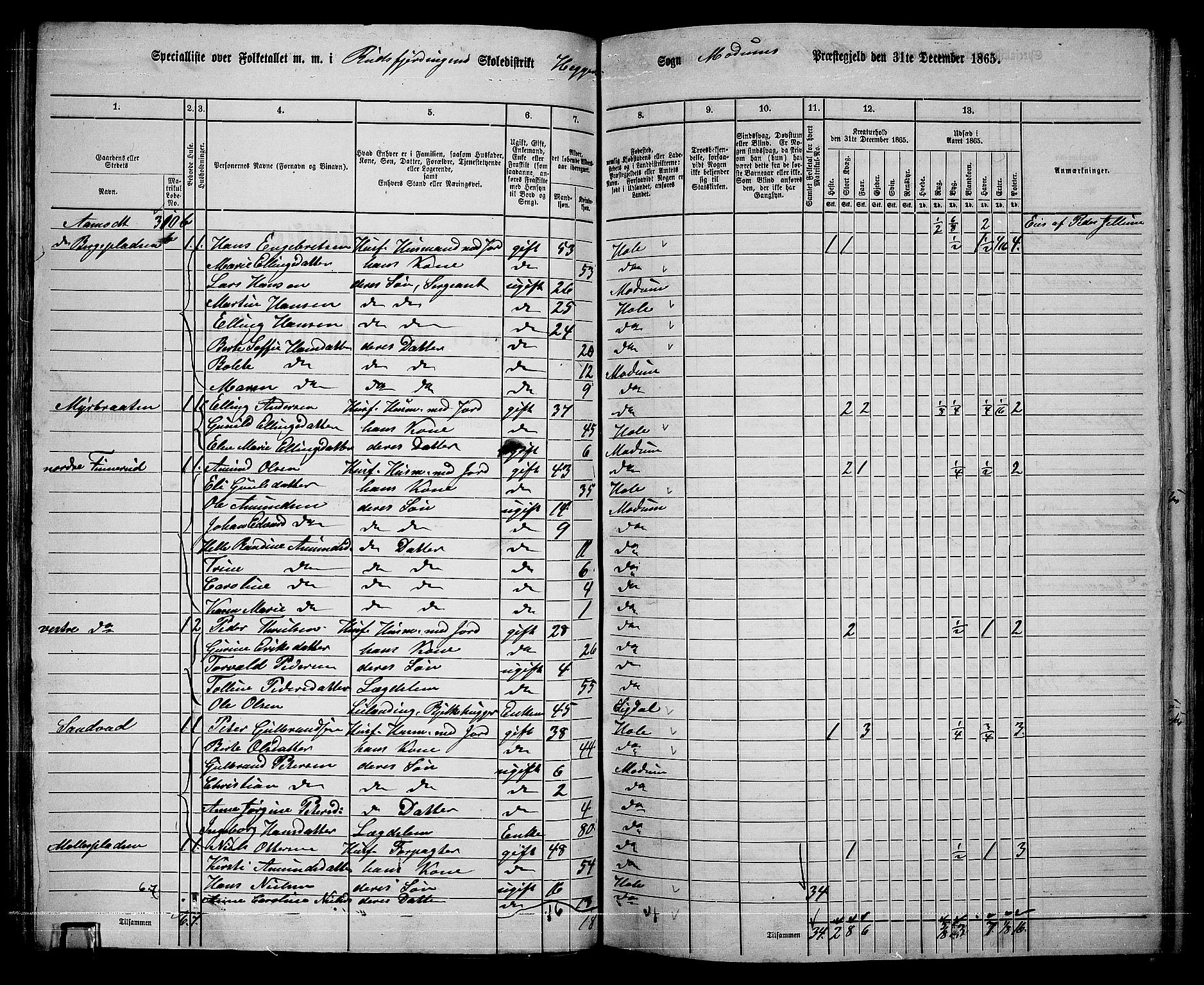 RA, 1865 census for Modum, 1865, p. 113