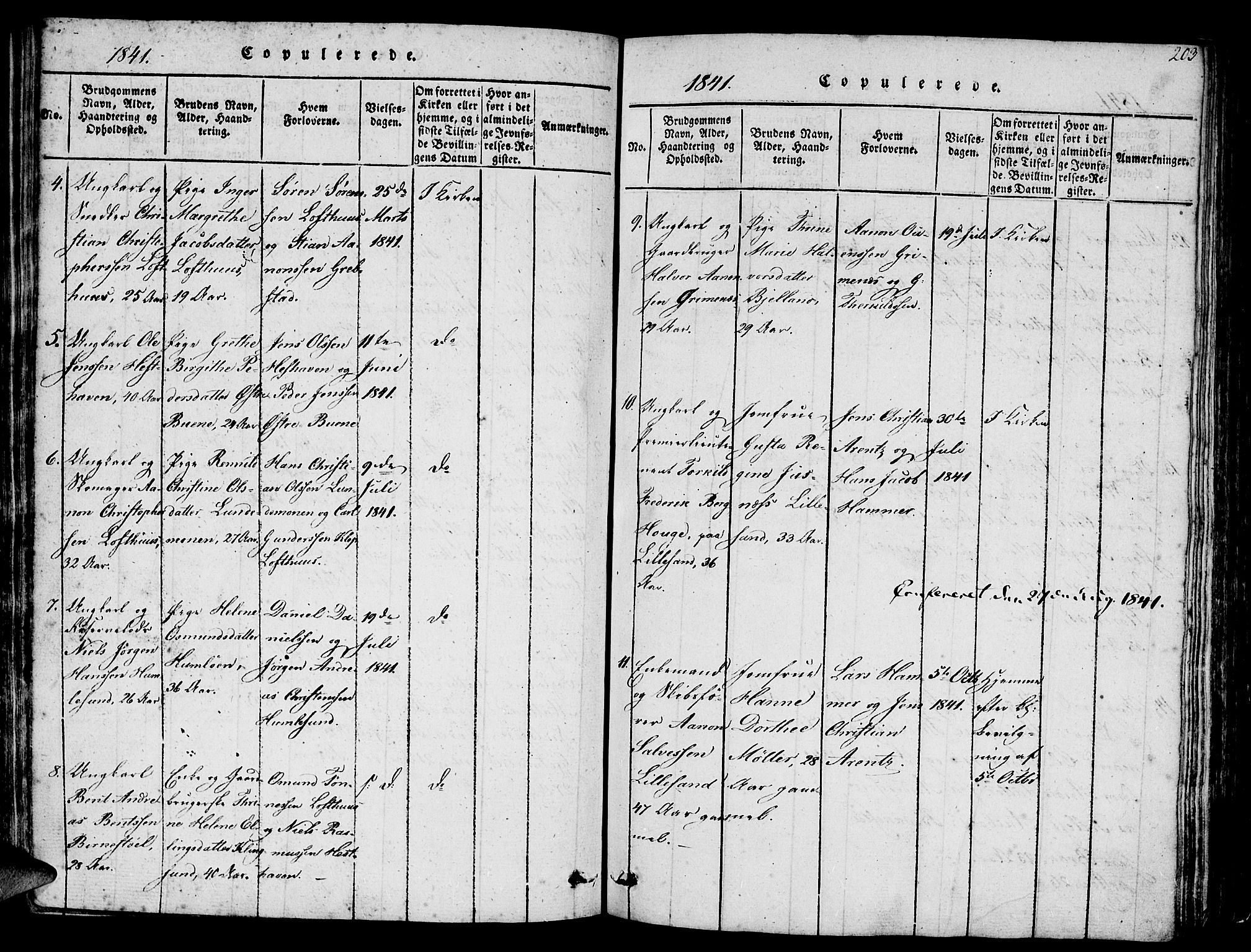 Vestre Moland sokneprestkontor, AV/SAK-1111-0046/F/Fb/Fbb/L0001: Parish register (copy) no. B 1, 1816-1851, p. 203