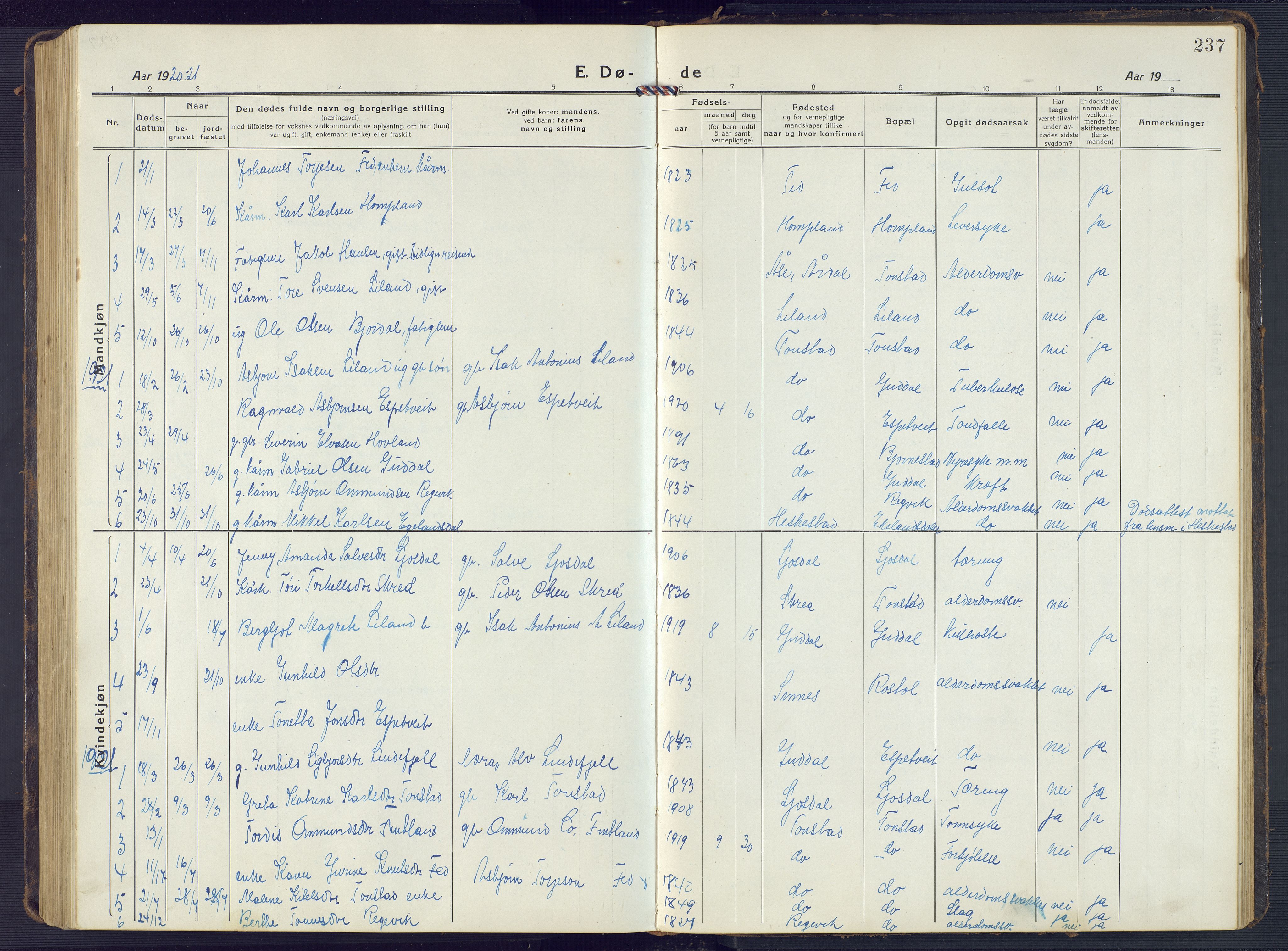 Sirdal sokneprestkontor, SAK/1111-0036/F/Fb/Fbb/L0005: Parish register (copy) no. B 5, 1916-1960, p. 237
