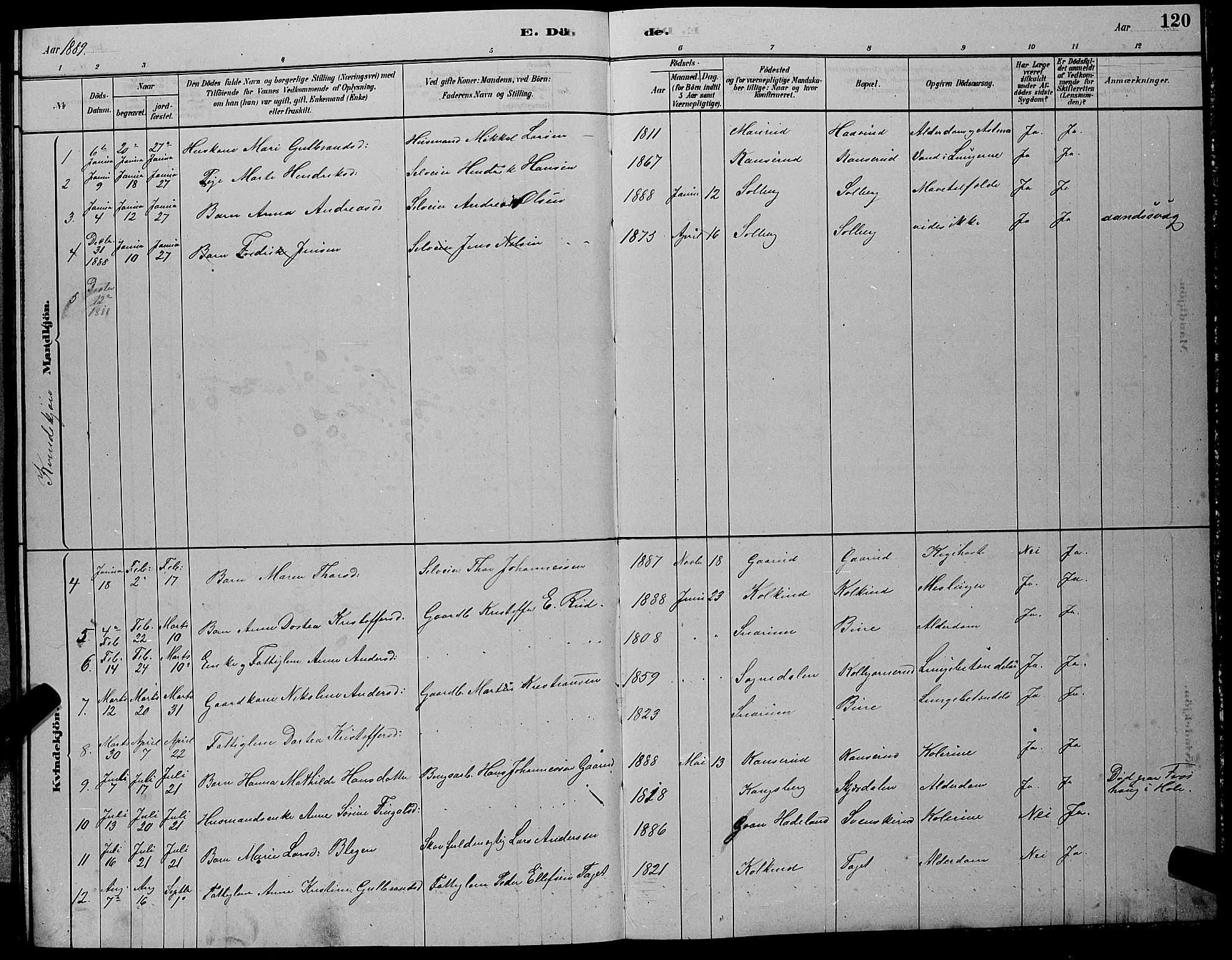 Hole kirkebøker, AV/SAKO-A-228/G/Gb/L0002: Parish register (copy) no. II 2, 1878-1889, p. 120