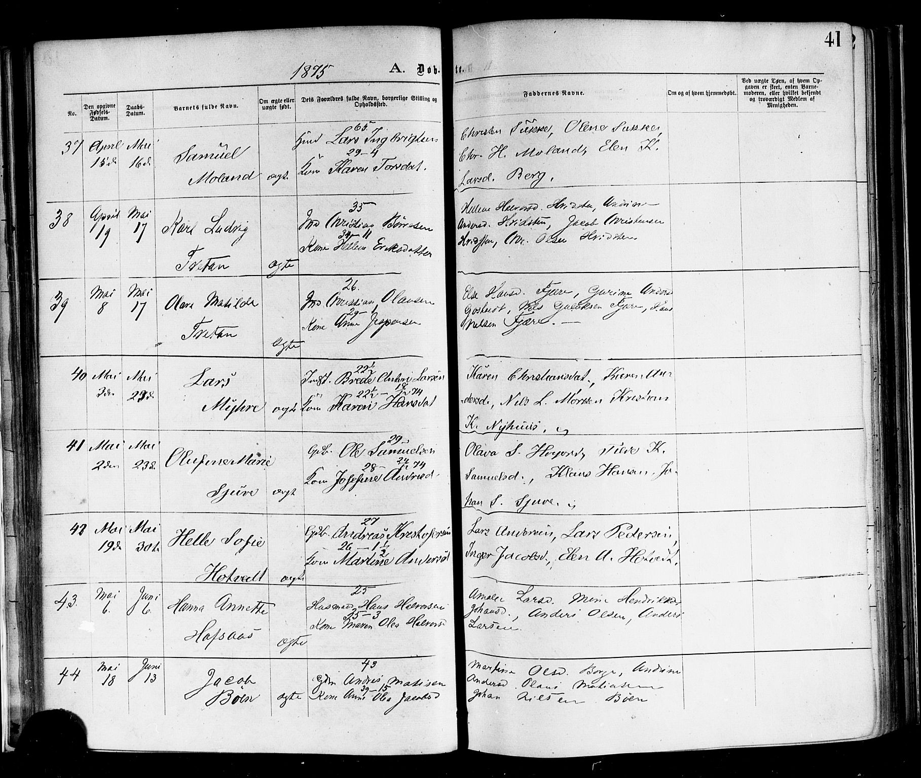 Andebu kirkebøker, AV/SAKO-A-336/F/Fa/L0006: Parish register (official) no. 6, 1871-1878, p. 41