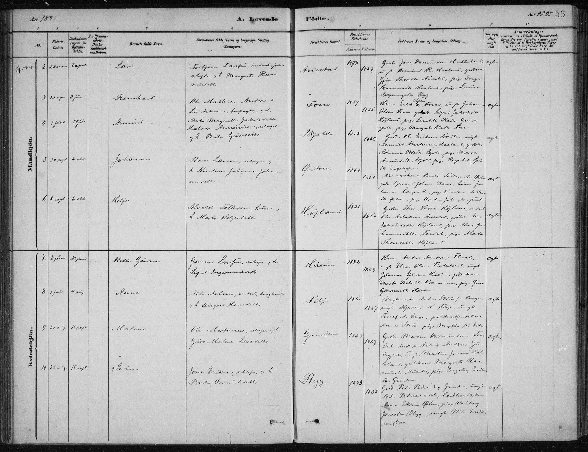 Etne sokneprestembete, AV/SAB-A-75001/H/Haa: Parish register (official) no. D  1, 1879-1919, p. 56