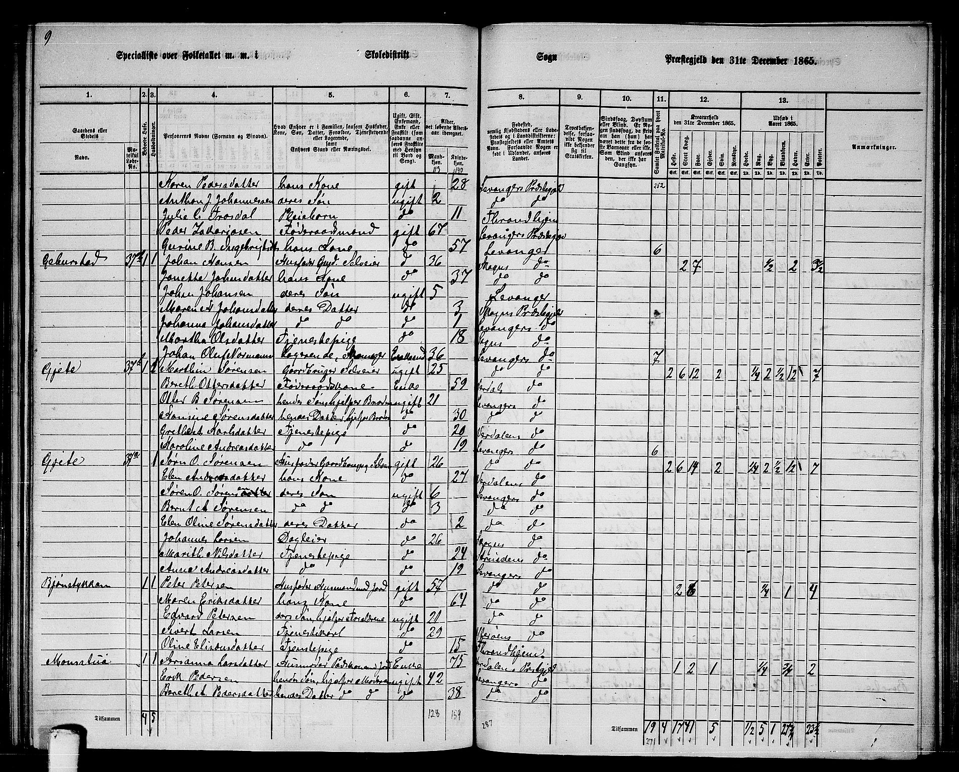 RA, 1865 census for Levanger/Levanger, 1865, p. 35