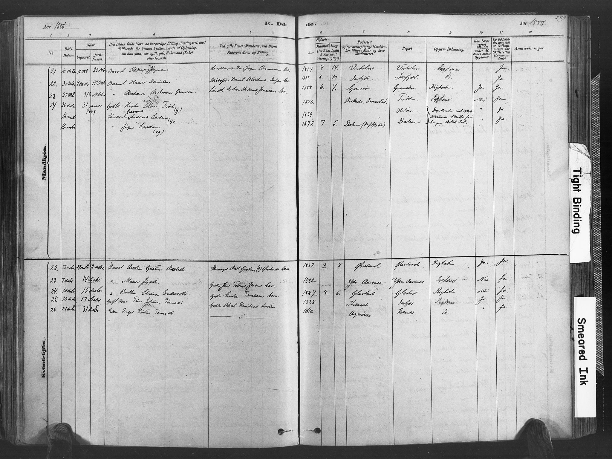 Høvåg sokneprestkontor, AV/SAK-1111-0025/F/Fa/L0005: Parish register (official) no. A 5, 1878-1893, p. 289