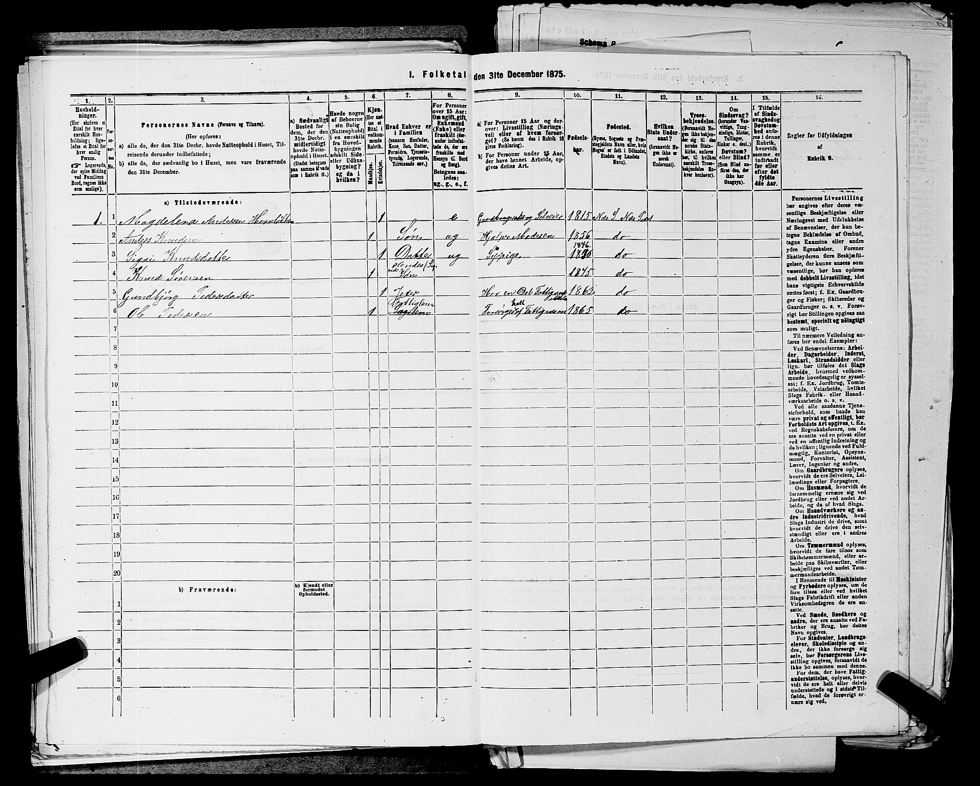 SAKO, 1875 census for 0616P Nes, 1875, p. 462