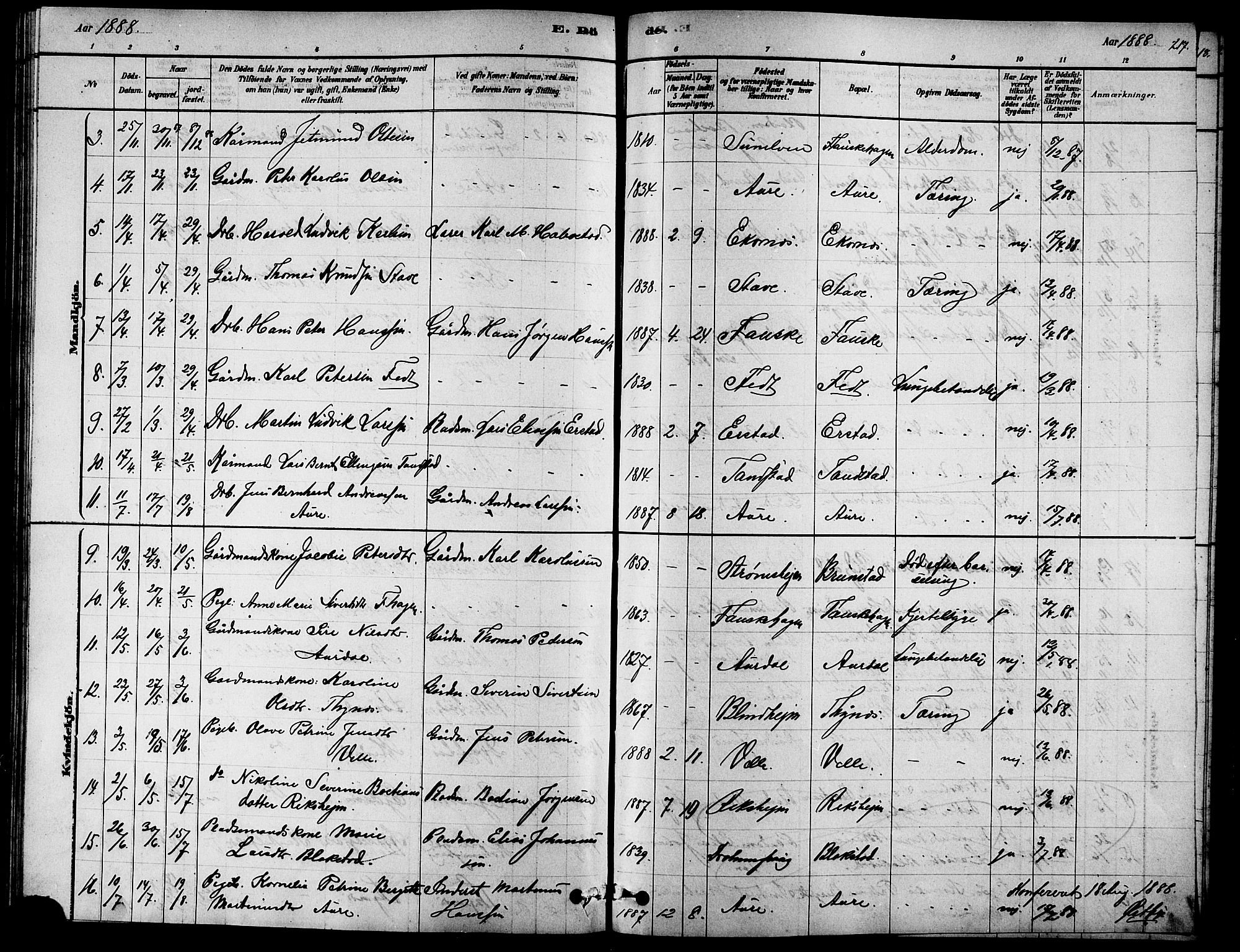 Ministerialprotokoller, klokkerbøker og fødselsregistre - Møre og Romsdal, SAT/A-1454/523/L0339: Parish register (copy) no. 523C02, 1878-1891, p. 217