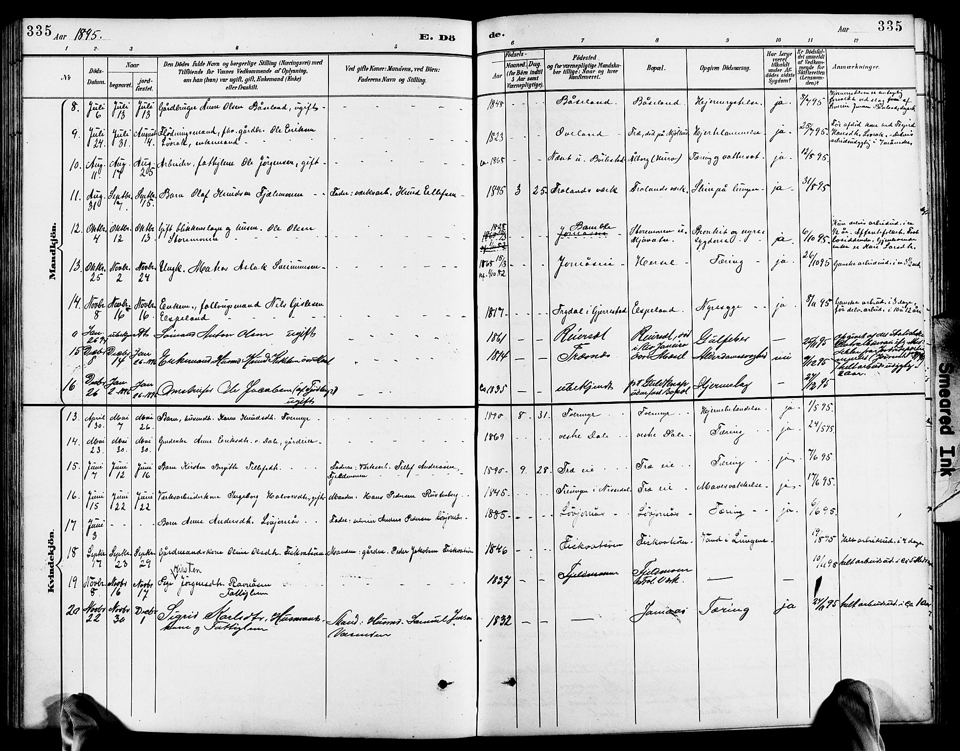 Froland sokneprestkontor, SAK/1111-0013/F/Fb/L0010: Parish register (copy) no. B 10, 1893-1920, p. 335