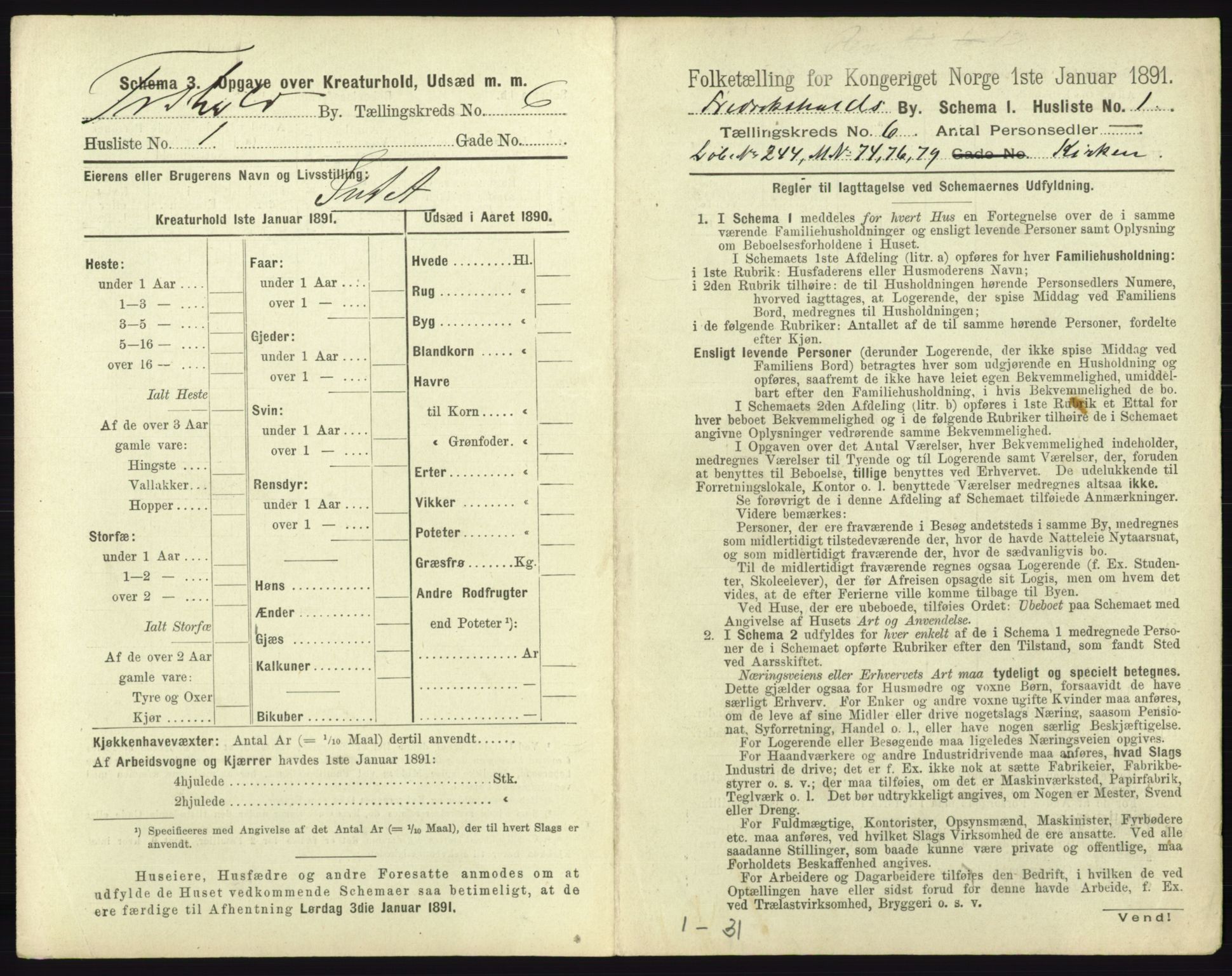 RA, 1891 census for 0101 Fredrikshald, 1891, p. 582