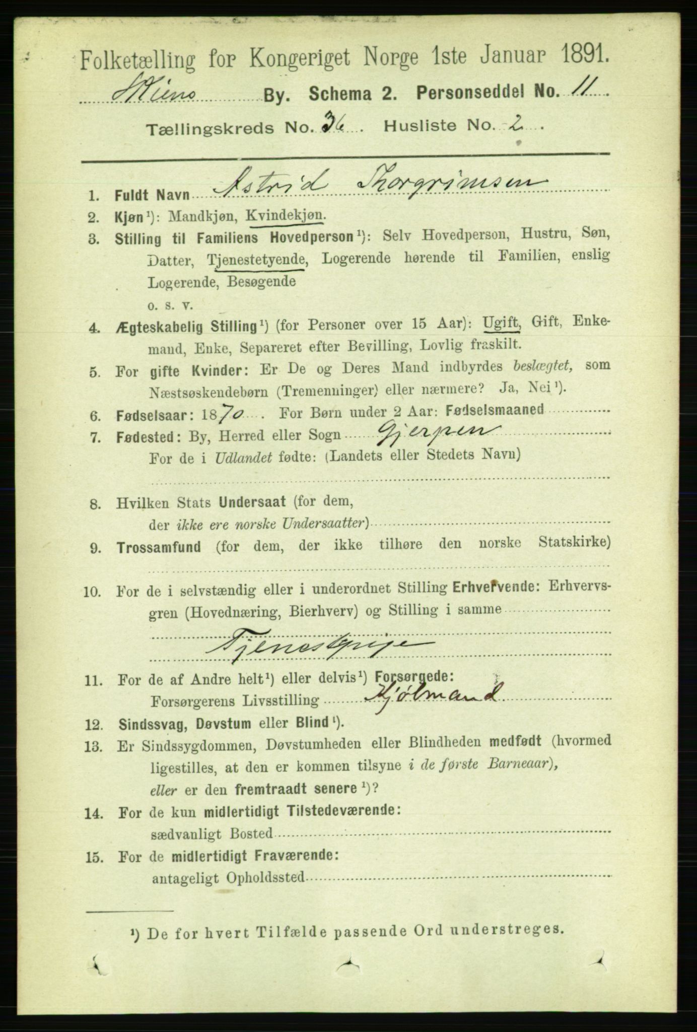 RA, 1891 census for 0806 Skien, 1891, p. 7971