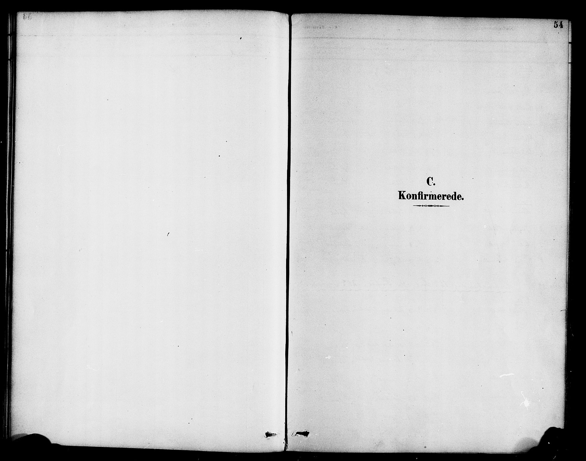 Hyllestad sokneprestembete, SAB/A-80401: Parish register (official) no. B 1, 1886-1904, p. 54