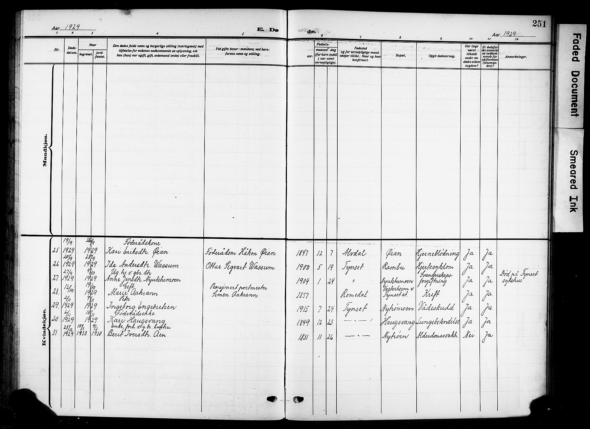 Tynset prestekontor, AV/SAH-PREST-058/H/Ha/Hab/L0011: Parish register (copy) no. 11, 1915-1930, p. 251