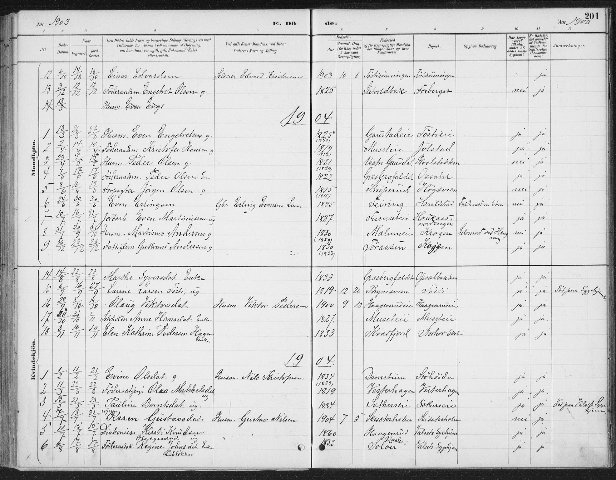 Romedal prestekontor, SAH/PREST-004/K/L0008: Parish register (official) no. 8, 1887-1905, p. 201