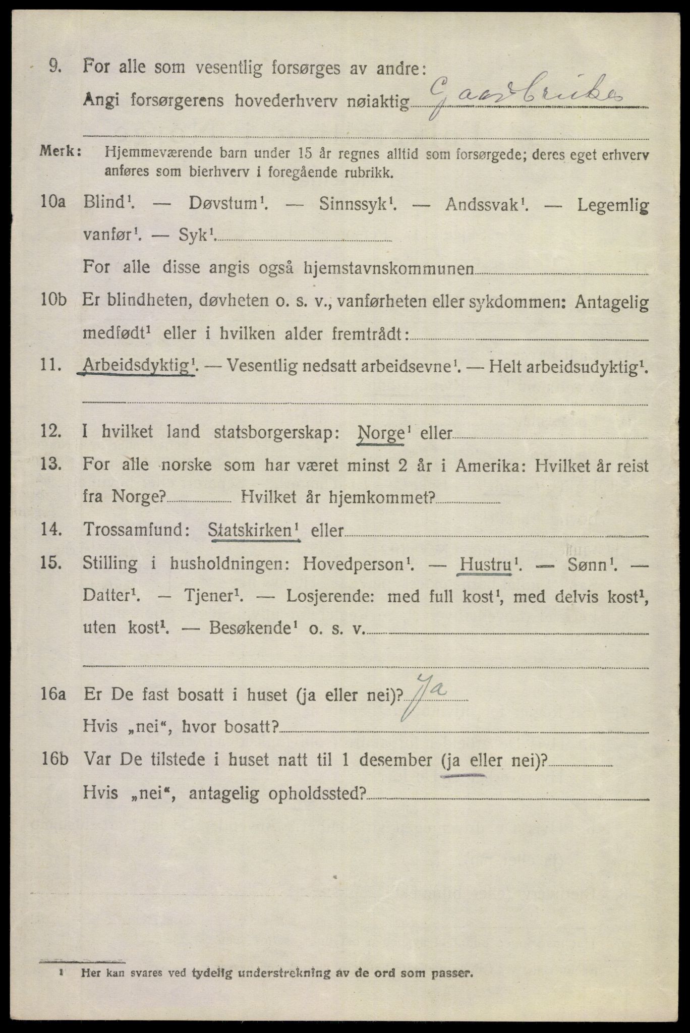 SAKO, 1920 census for Hemsedal, 1920, p. 2353