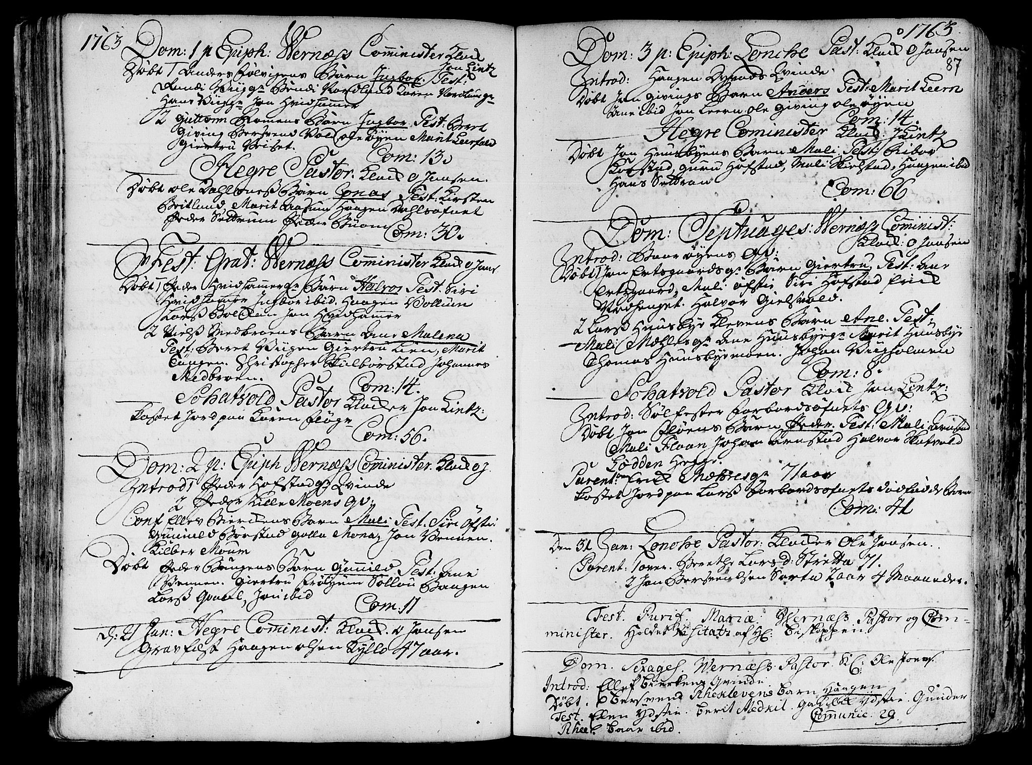 Ministerialprotokoller, klokkerbøker og fødselsregistre - Nord-Trøndelag, SAT/A-1458/709/L0057: Parish register (official) no. 709A05, 1755-1780, p. 87