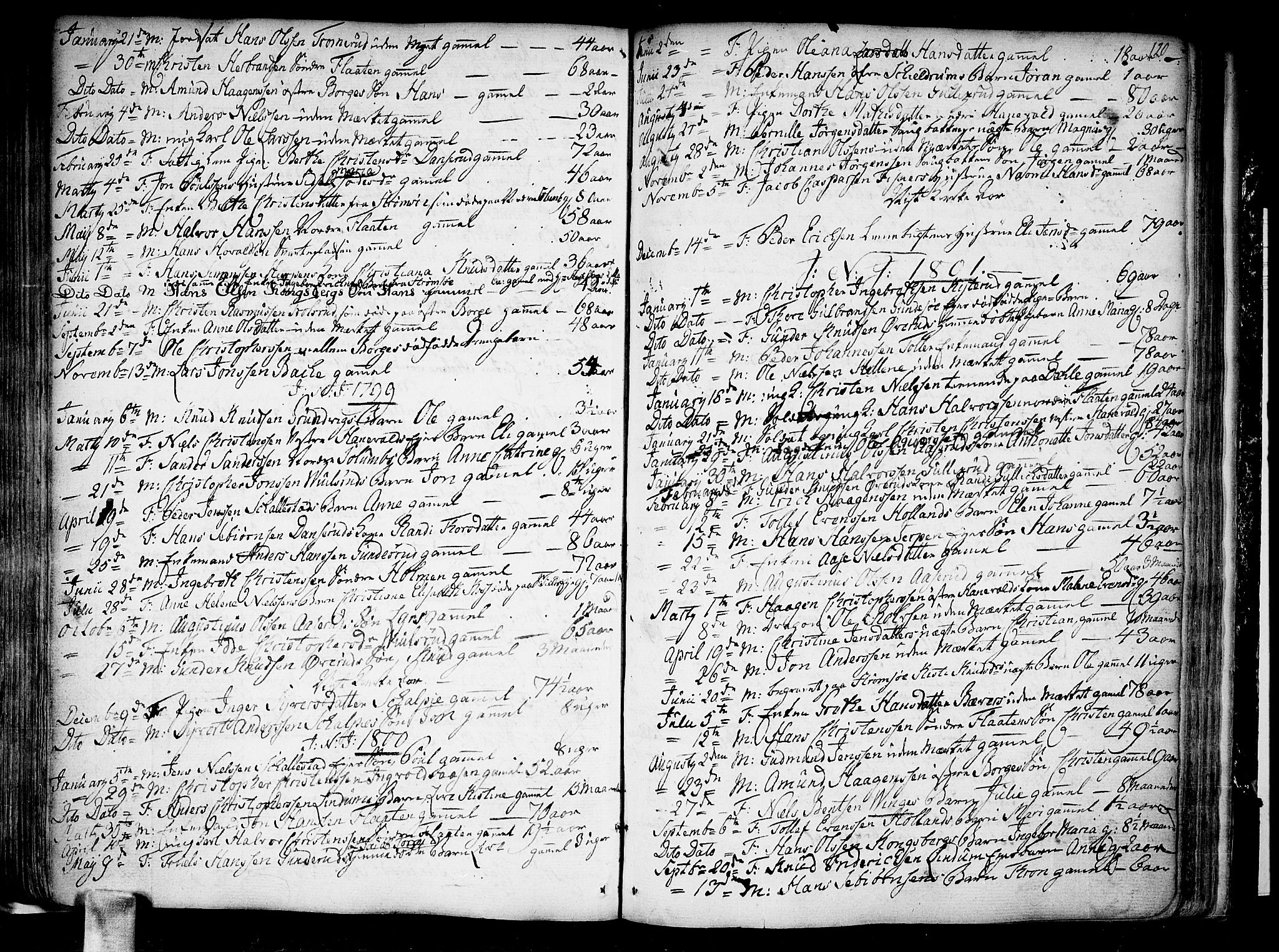 Skoger kirkebøker, SAKO/A-59/F/Fa/L0001: Parish register (official) no. I 1, 1746-1814, p. 120