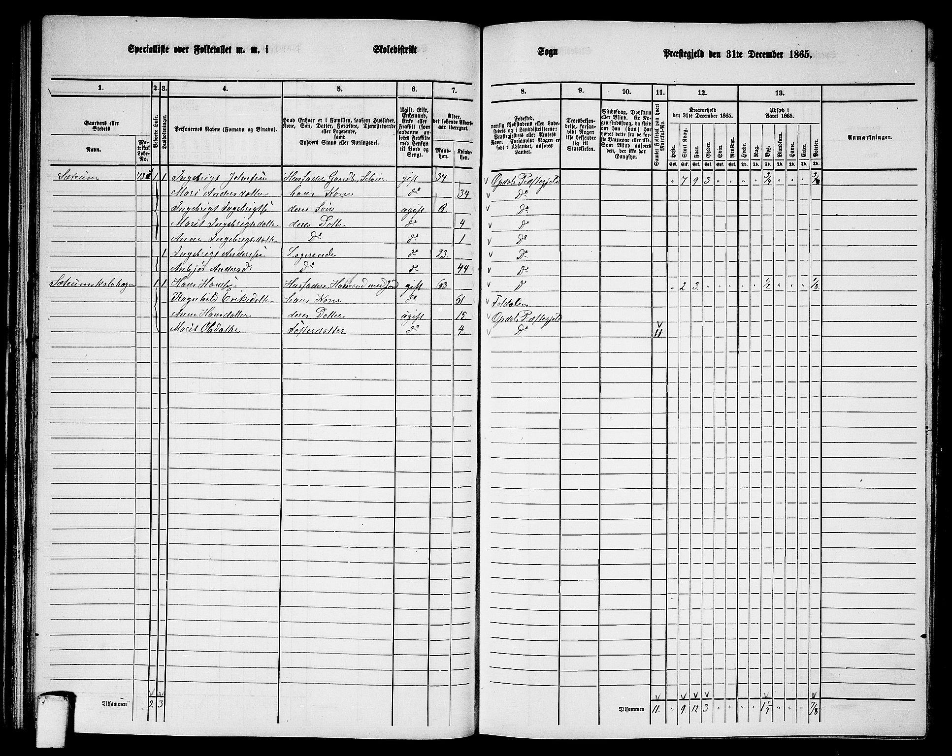 RA, 1865 census for Oppdal, 1865, p. 58