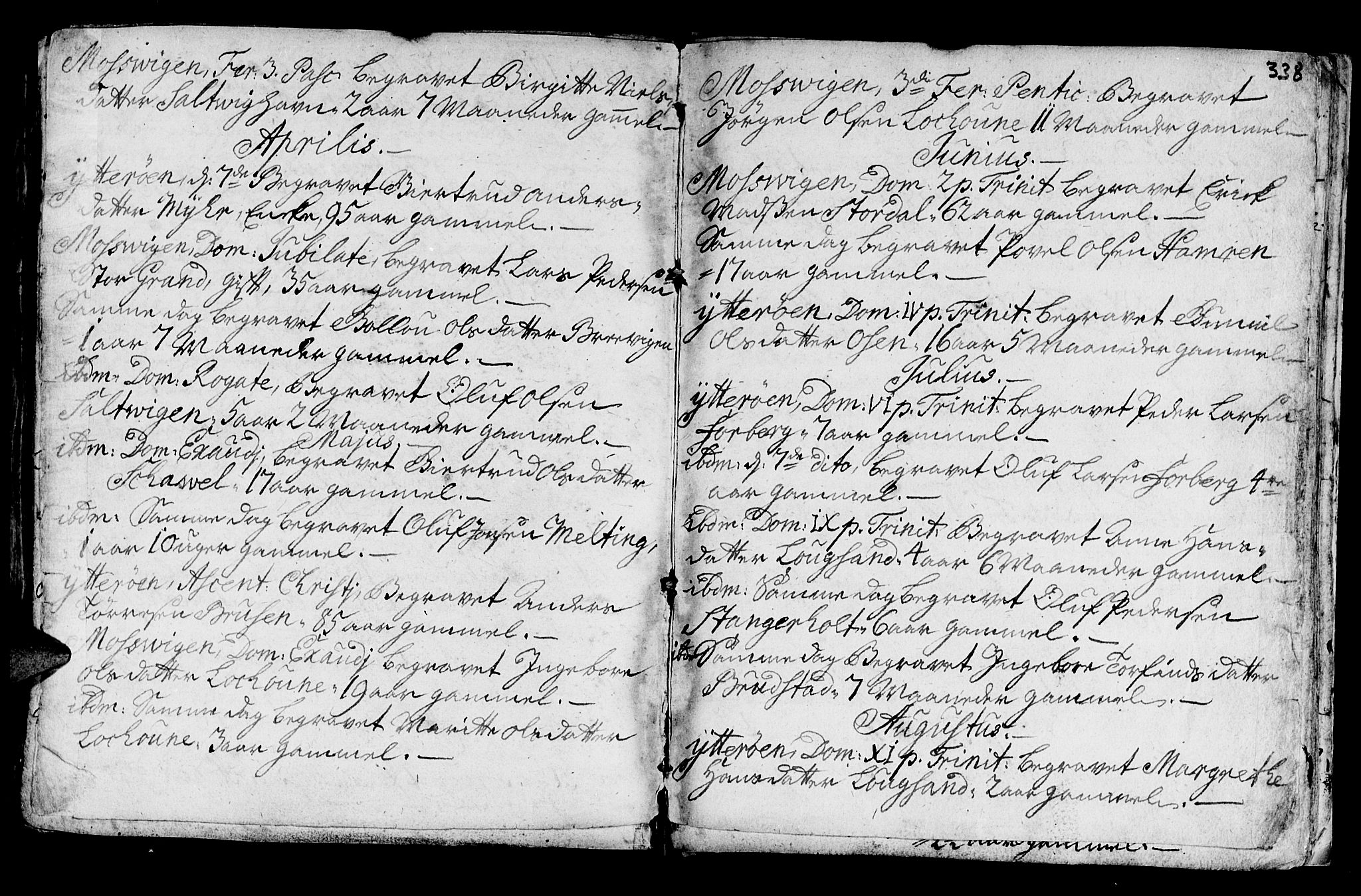 Ministerialprotokoller, klokkerbøker og fødselsregistre - Nord-Trøndelag, AV/SAT-A-1458/722/L0215: Parish register (official) no. 722A02, 1718-1755, p. 338