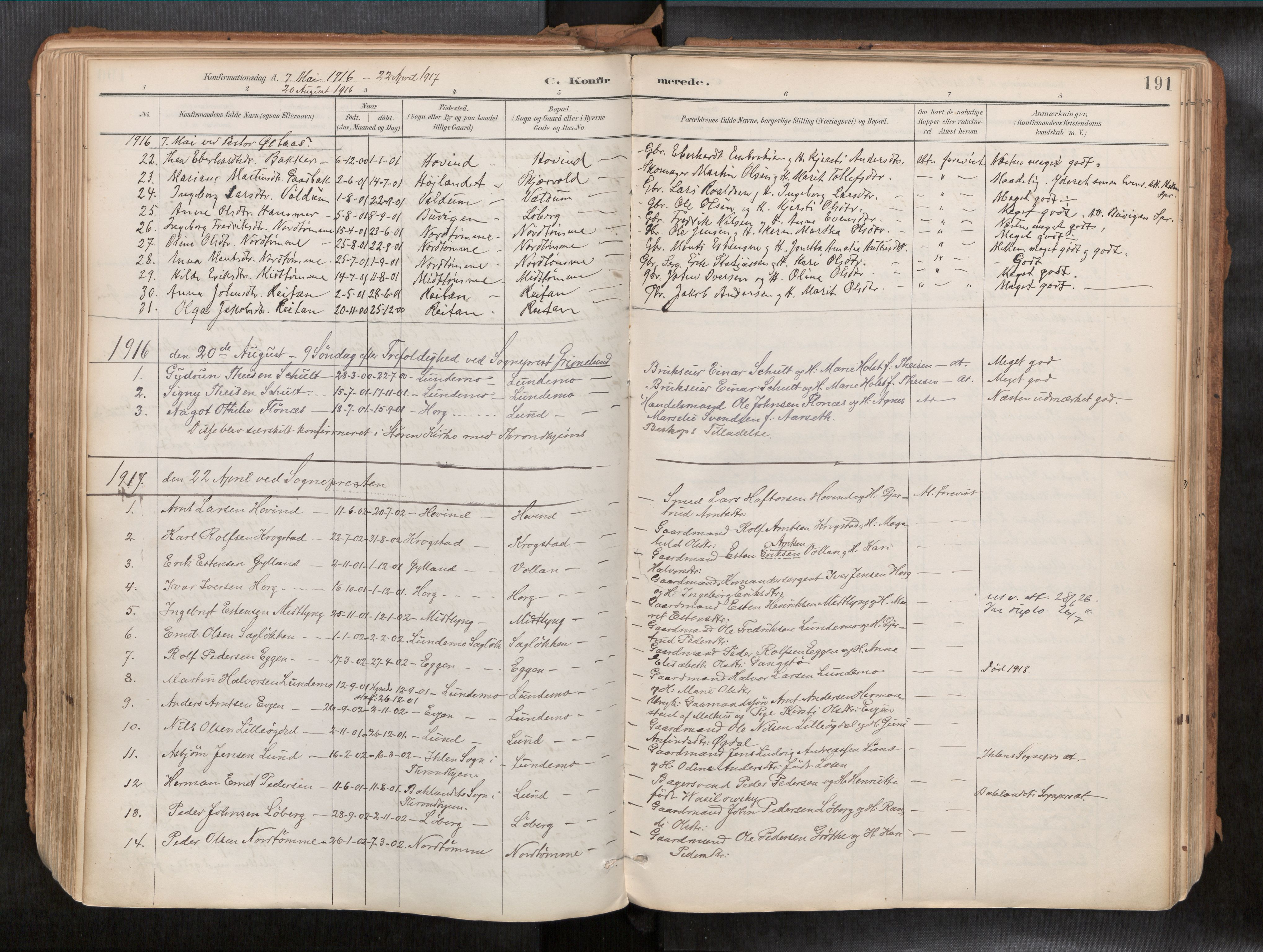 Ministerialprotokoller, klokkerbøker og fødselsregistre - Sør-Trøndelag, SAT/A-1456/692/L1105b: Parish register (official) no. 692A06, 1891-1934, p. 191