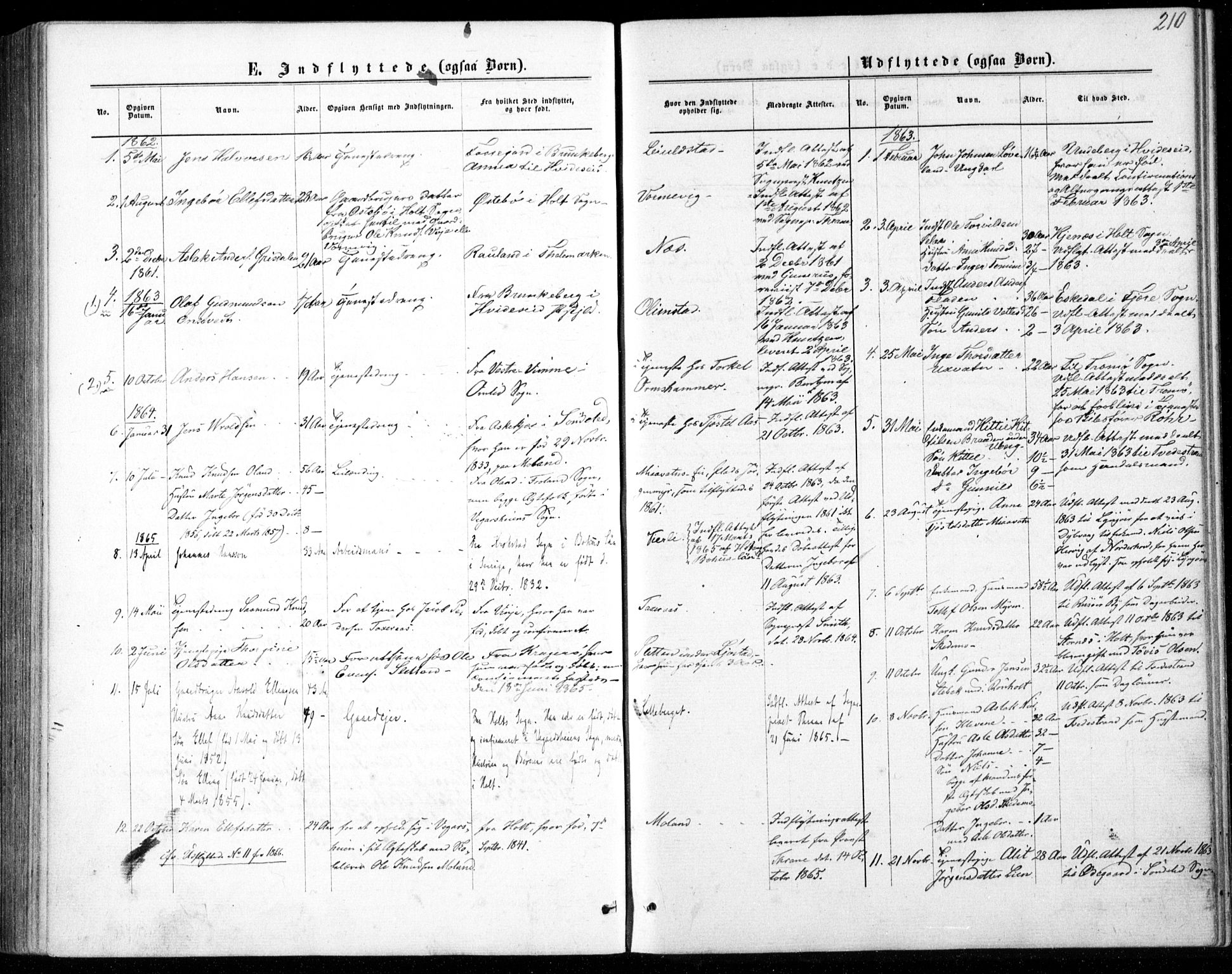 Gjerstad sokneprestkontor, SAK/1111-0014/F/Fb/Fbb/L0003: Parish register (copy) no. B 3, 1862-1889, p. 210