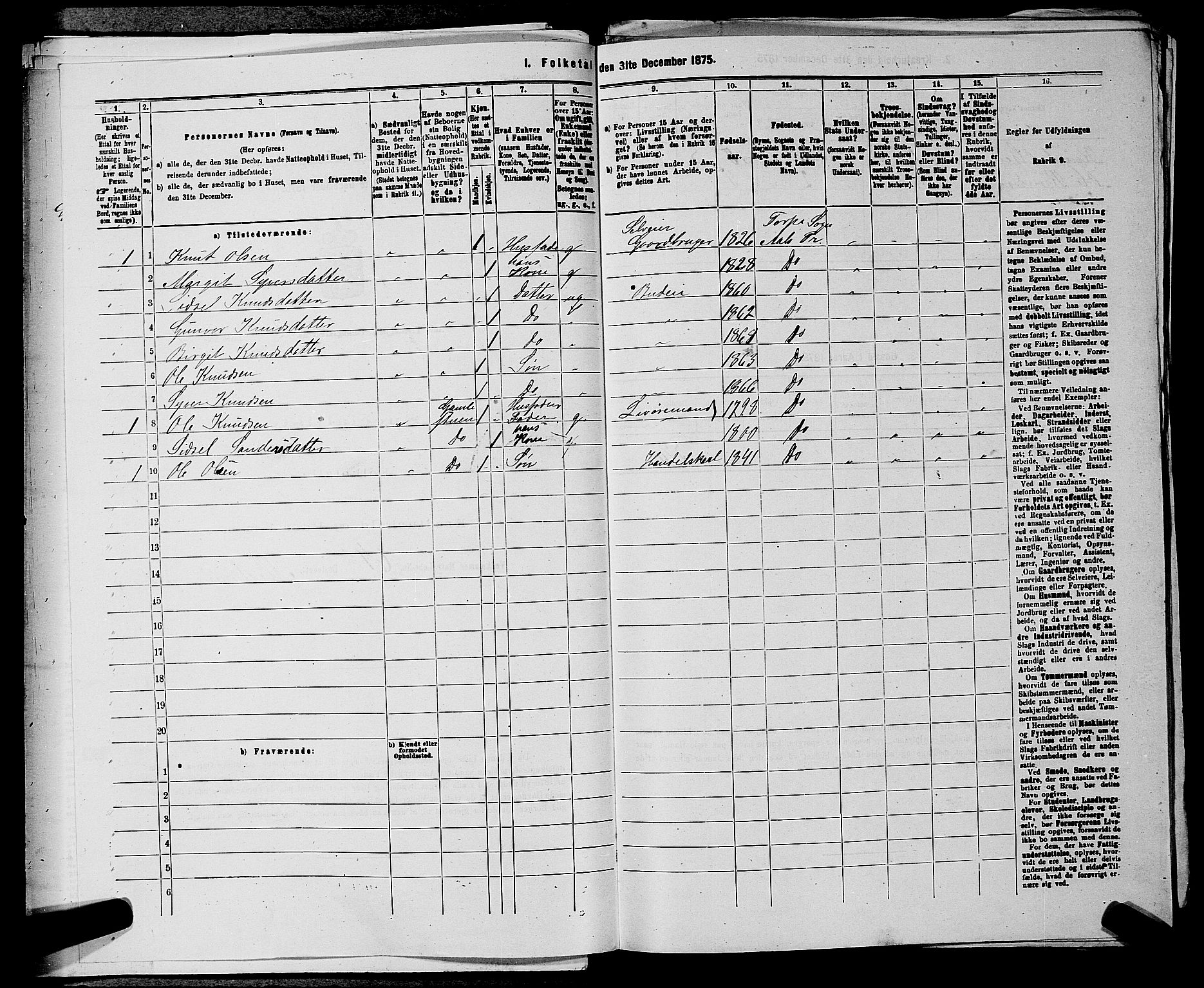 SAKO, 1875 census for 0619P Ål, 1875, p. 247