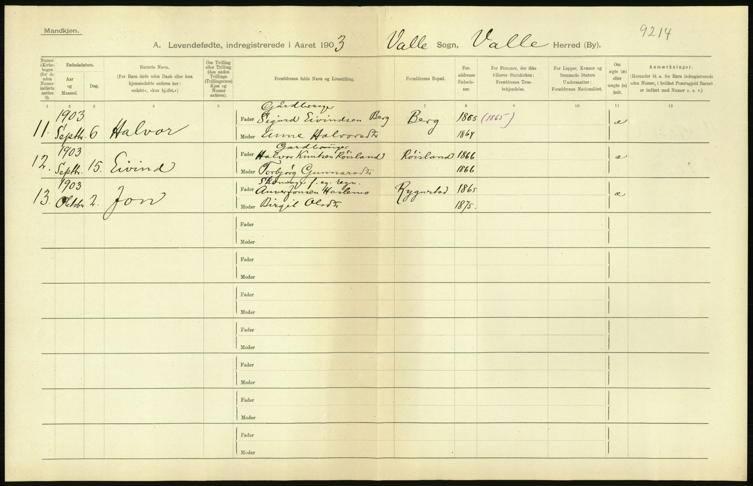 Statistisk sentralbyrå, Sosiodemografiske emner, Befolkning, AV/RA-S-2228/D/Df/Dfa/Dfaa/L0010: Nedenes amt: Fødte, gifte, døde, 1903, p. 76