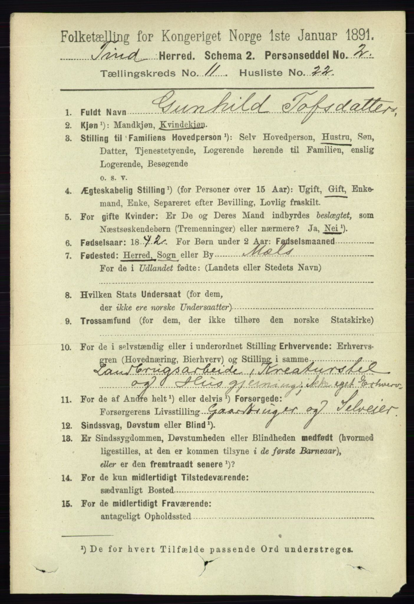 RA, 1891 census for 0826 Tinn, 1891, p. 2233