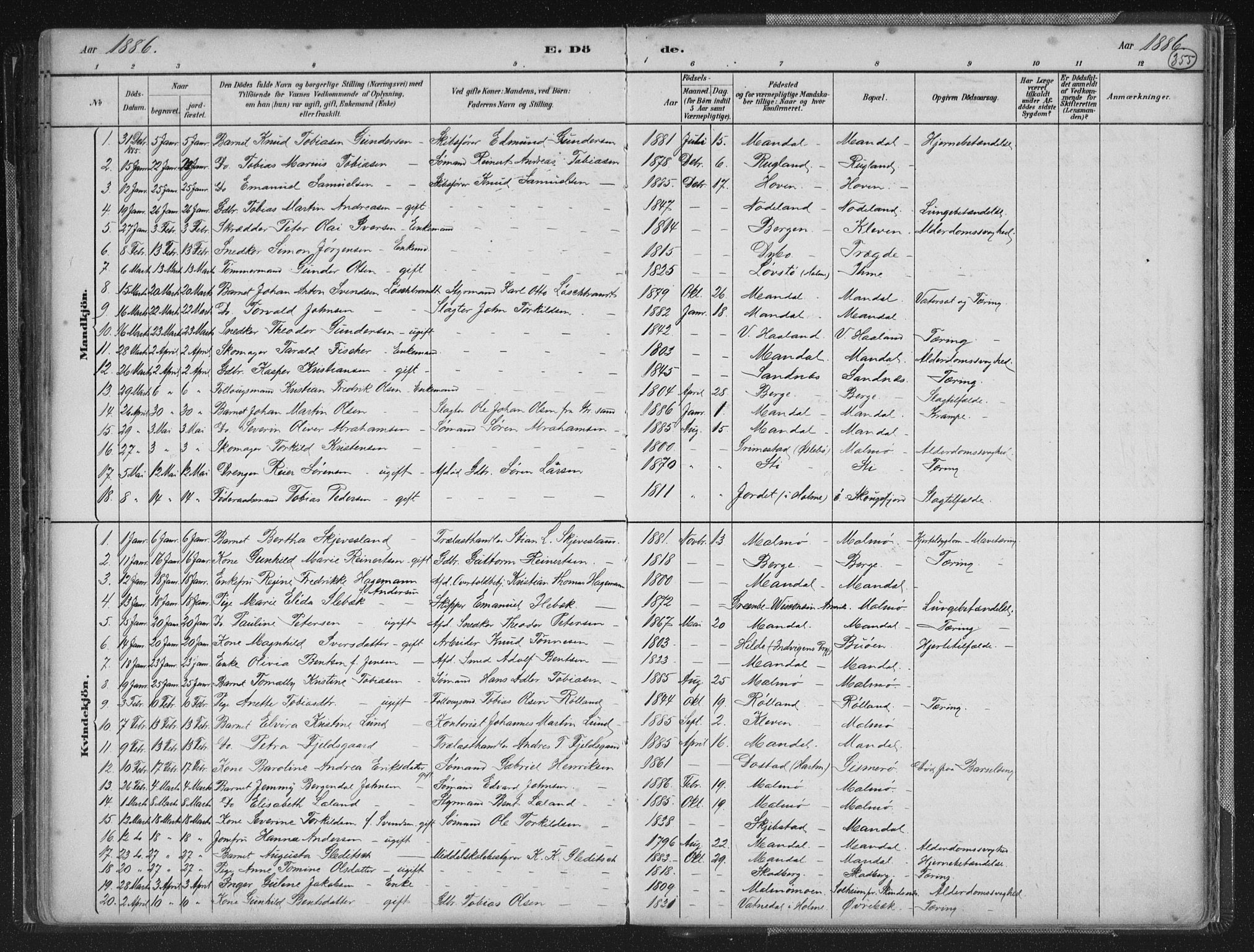 Mandal sokneprestkontor, SAK/1111-0030/F/Fb/Fba/L0011: Parish register (copy) no. B 5, 1880-1898, p. 355