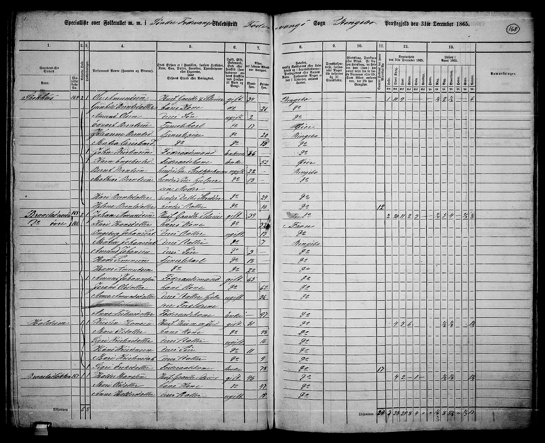 RA, 1865 census for Ringebu, 1865, p. 143