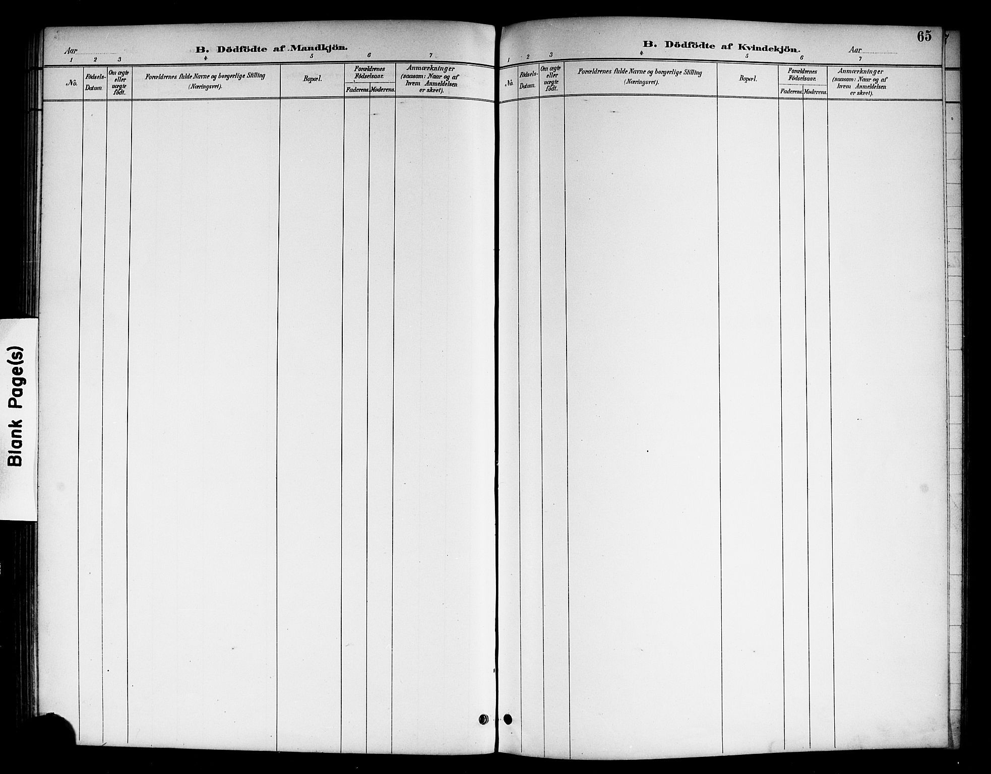 Brunlanes kirkebøker, SAKO/A-342/G/Gc/L0002: Parish register (copy) no. III 2, 1891-1922, p. 65
