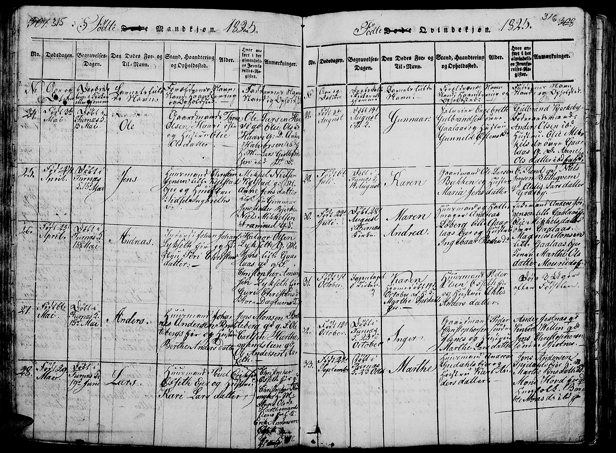 Vang prestekontor, Hedmark, SAH/PREST-008/H/Ha/Hab/L0005: Parish register (copy) no. 5, 1815-1836, p. 315-316