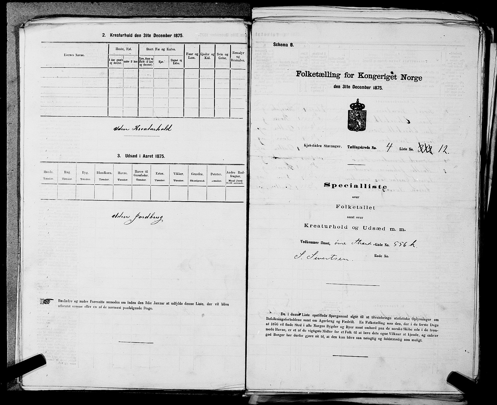 SAST, 1875 census for 1103 Stavanger, 1875, p. 667