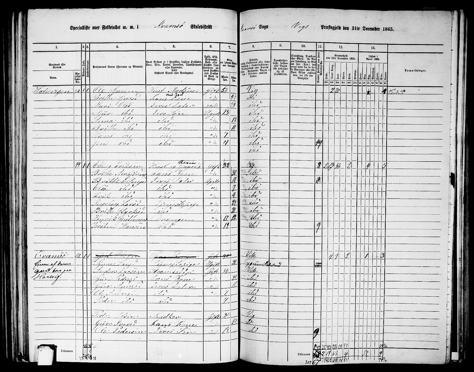 RA, 1865 census for Vik, 1865, p. 131