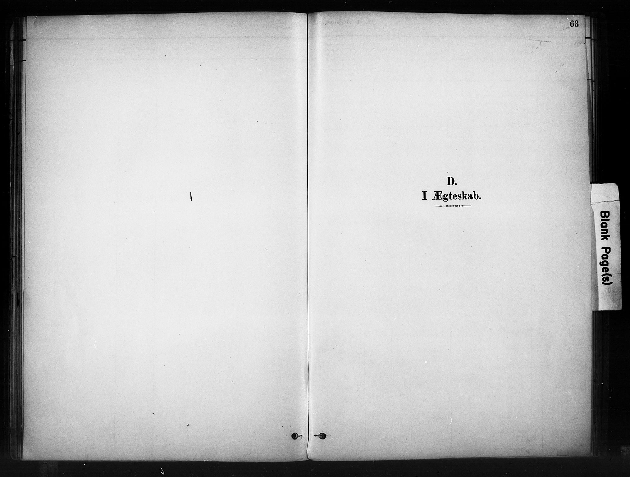 Nord-Aurdal prestekontor, SAH/PREST-132/H/Ha/Haa/L0010: Parish register (official) no. 10, 1883-1896, p. 63