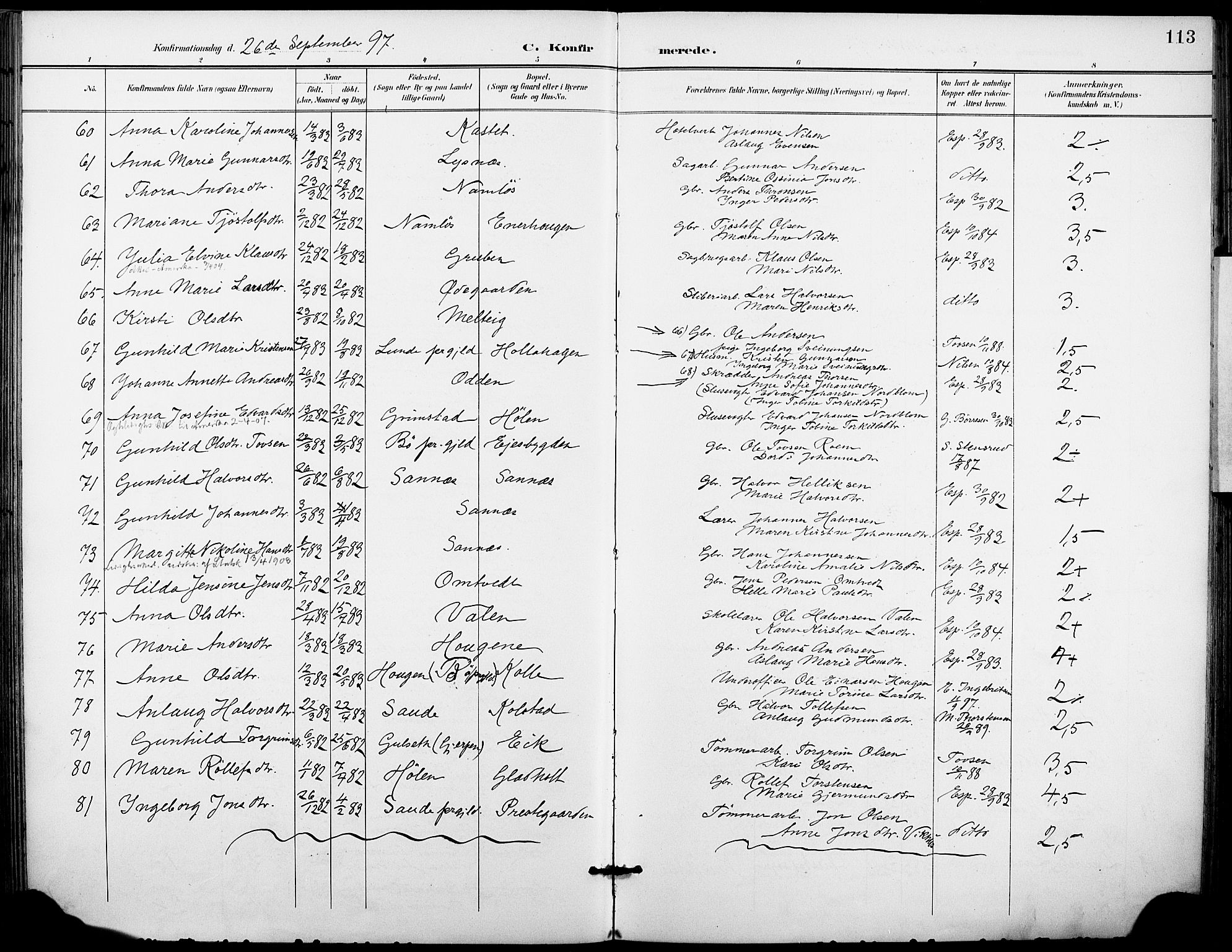 Holla kirkebøker, SAKO/A-272/F/Fa/L0010: Parish register (official) no. 10, 1897-1907, p. 113