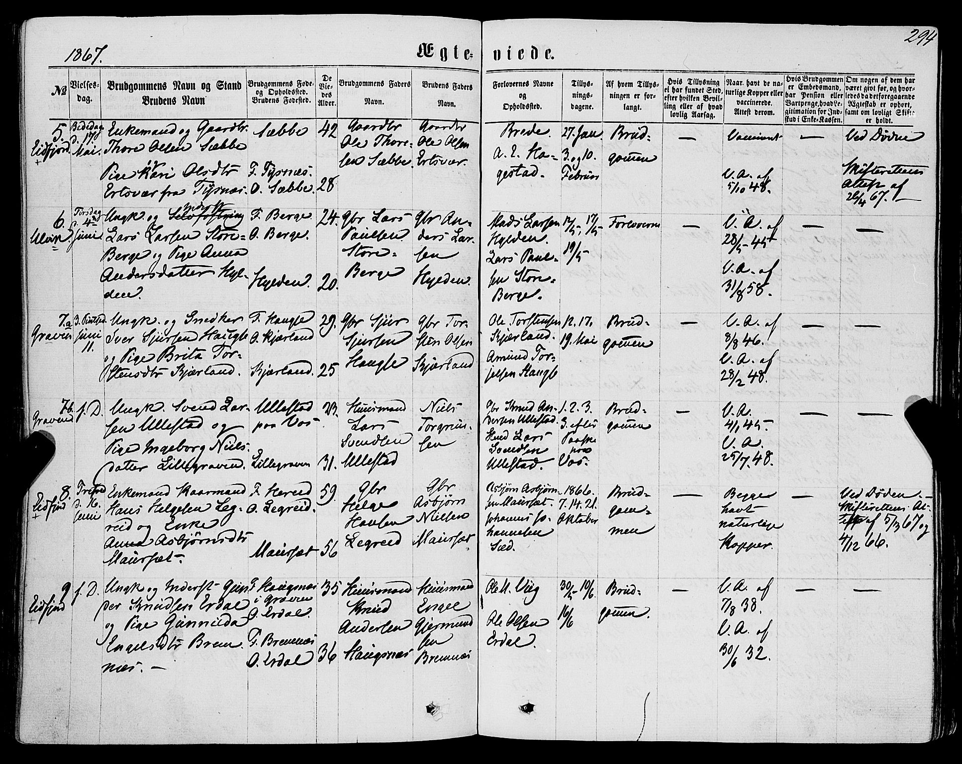 Ulvik sokneprestembete, AV/SAB-A-78801/H/Haa: Parish register (official) no. A 15, 1864-1878, p. 294