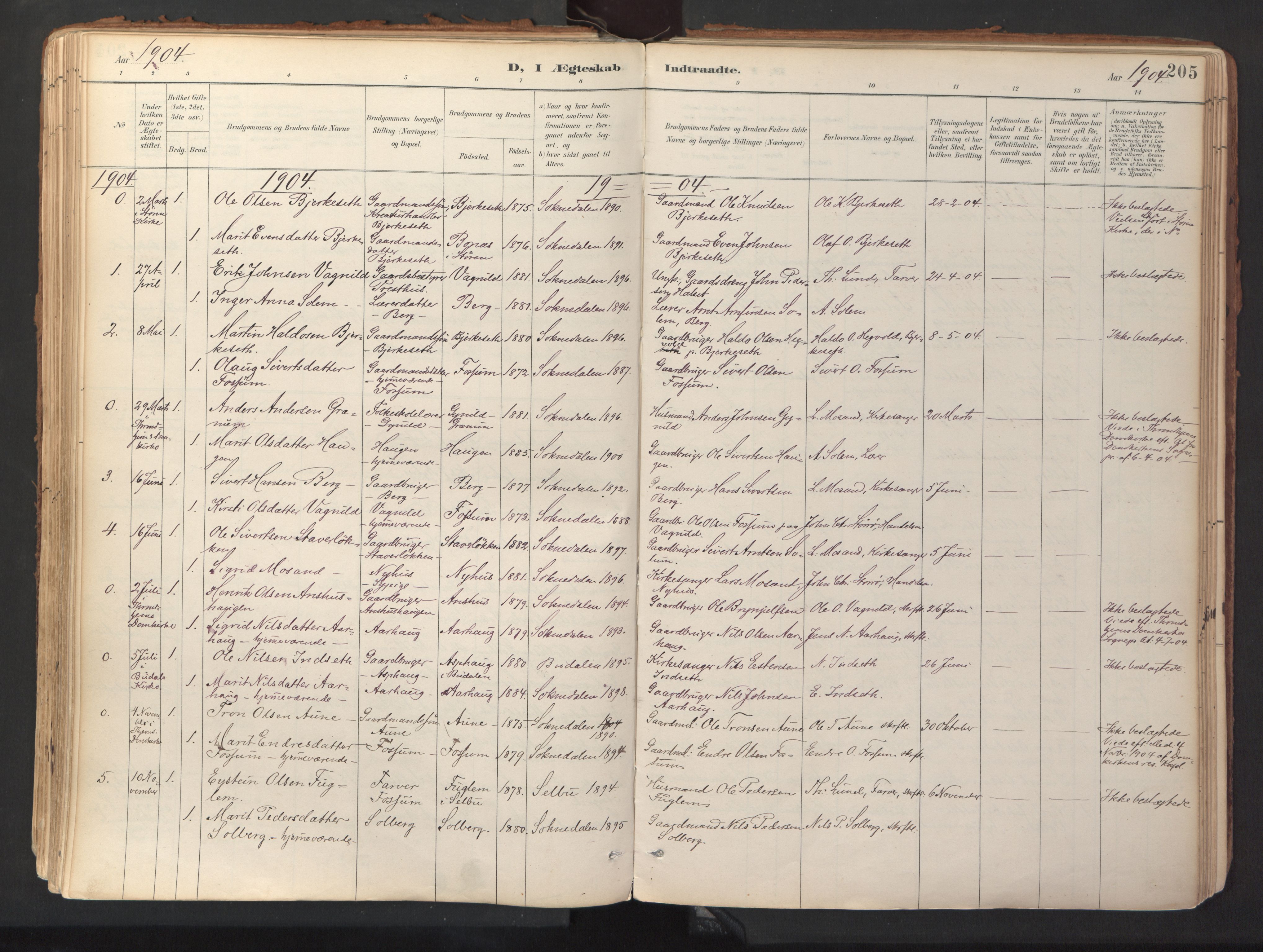 Ministerialprotokoller, klokkerbøker og fødselsregistre - Sør-Trøndelag, SAT/A-1456/689/L1041: Parish register (official) no. 689A06, 1891-1923, p. 205