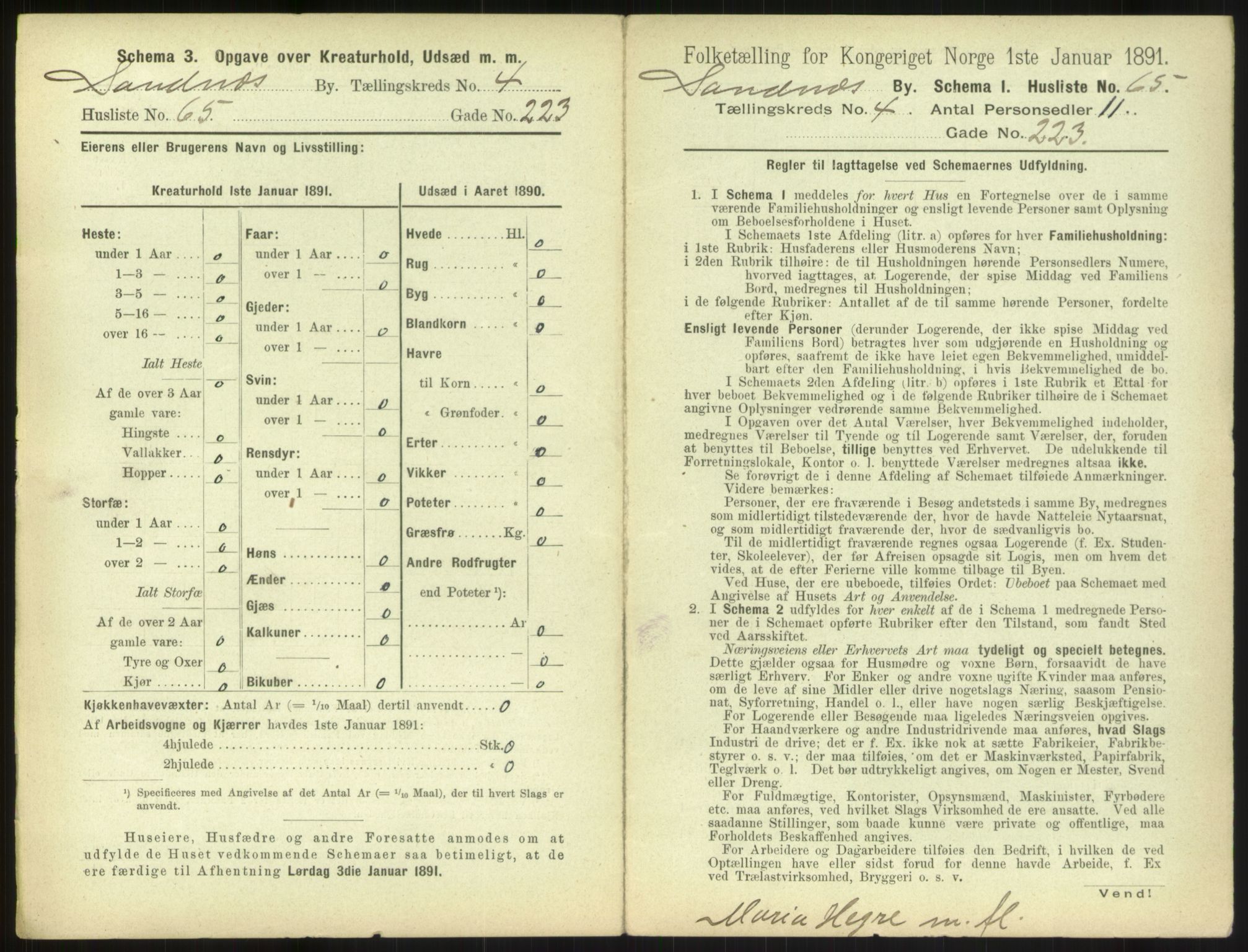 RA, 1891 census for 1102 Sandnes, 1891, p. 479