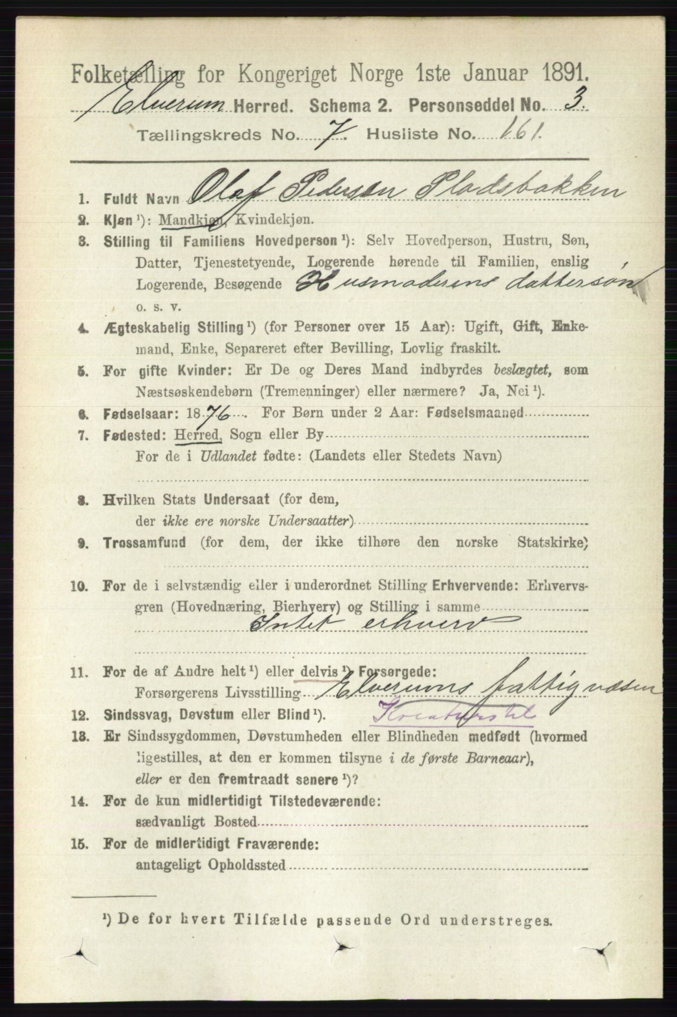 RA, 1891 census for 0427 Elverum, 1891, p. 6589