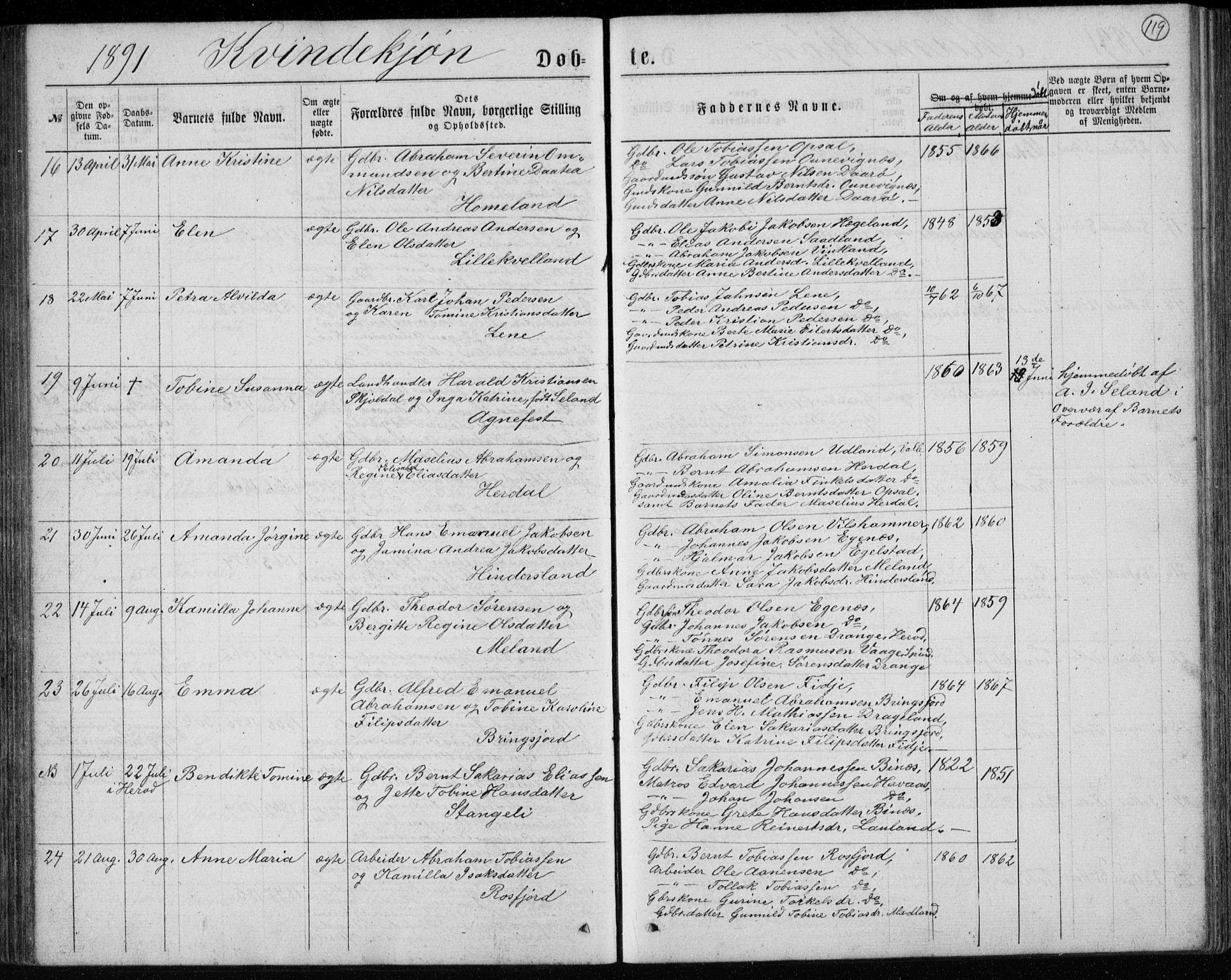 Lyngdal sokneprestkontor, AV/SAK-1111-0029/F/Fb/Fbc/L0004: Parish register (copy) no. B 4, 1878-1896, p. 119