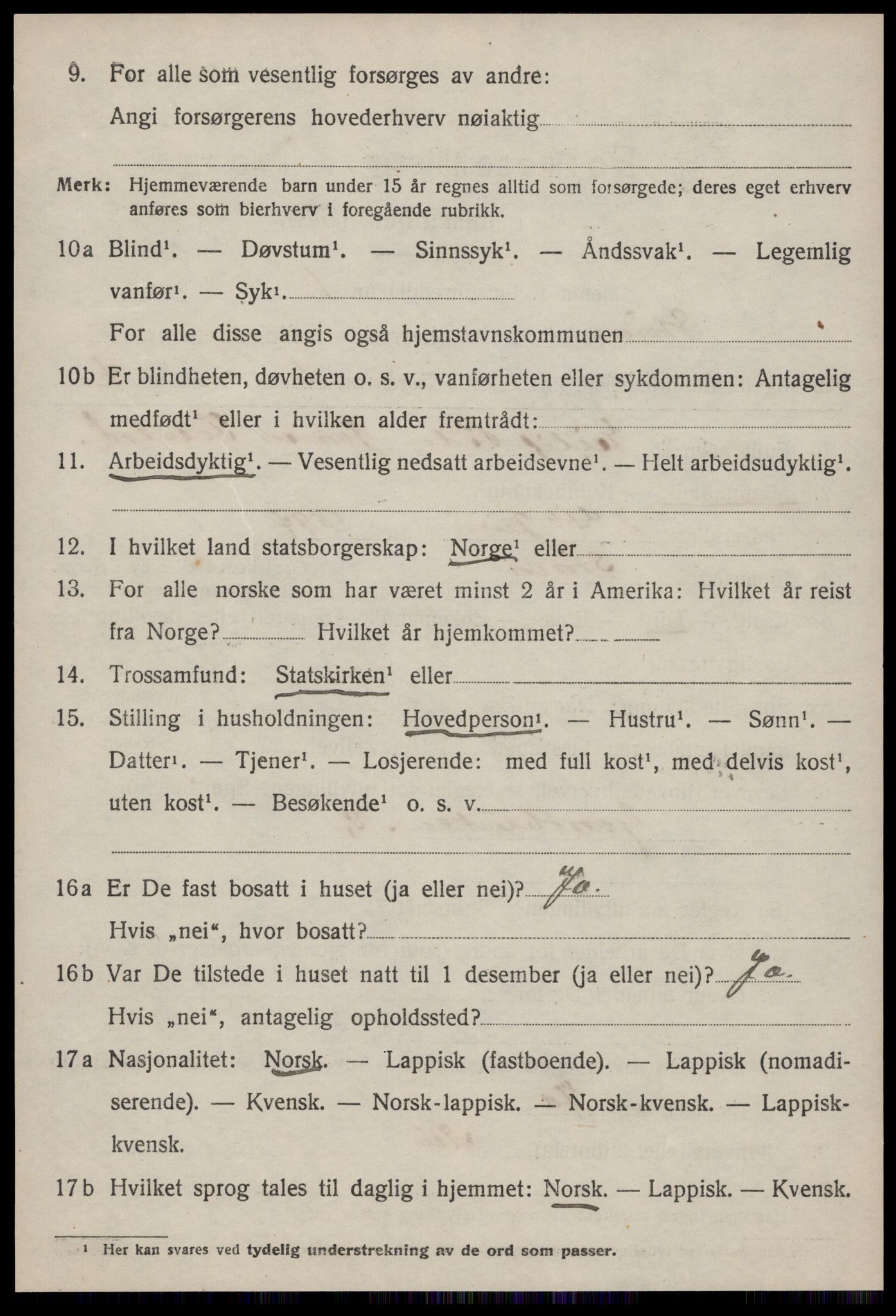 SAT, 1920 census for Støren, 1920, p. 1391