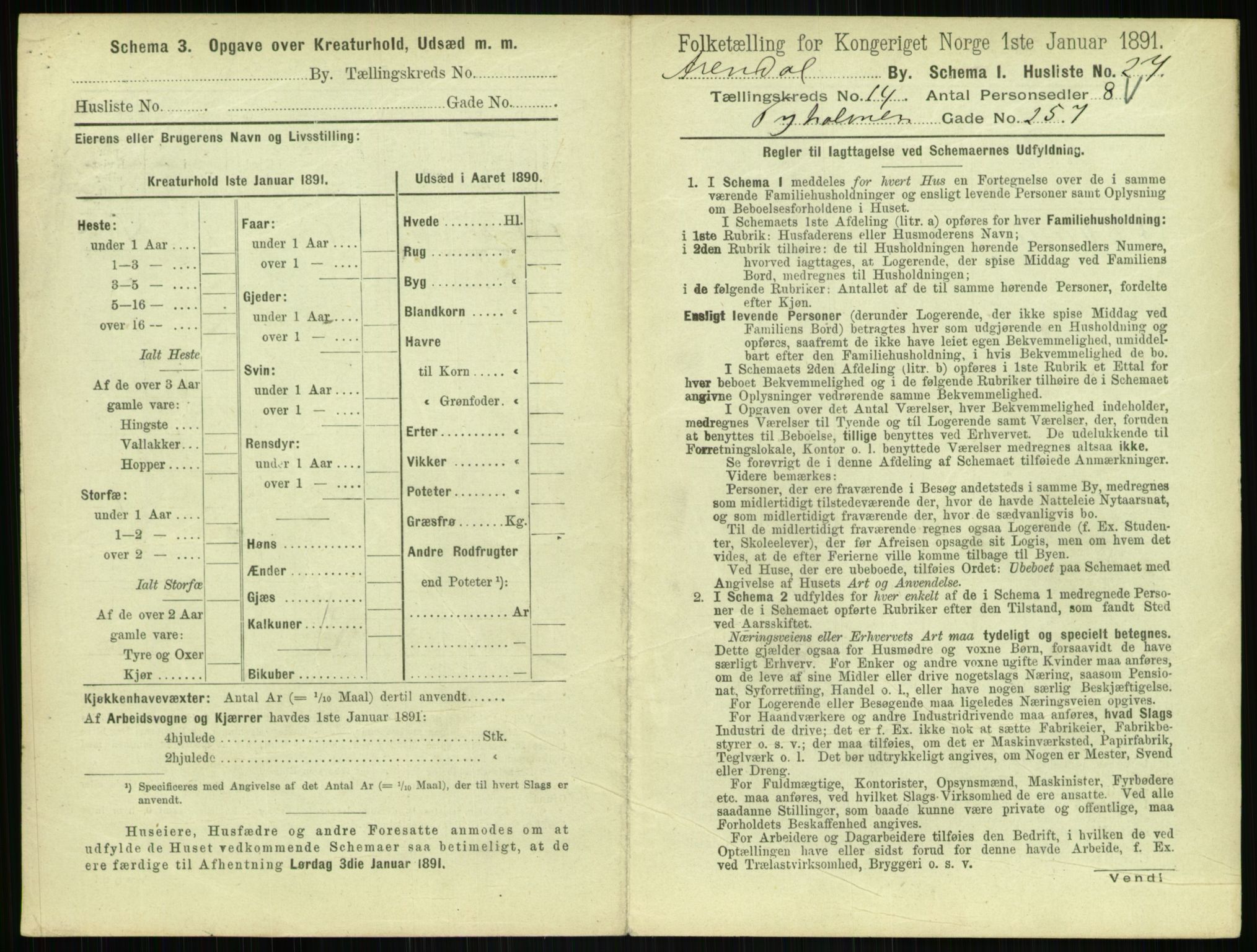 RA, 1891 census for 0903 Arendal, 1891, p. 790