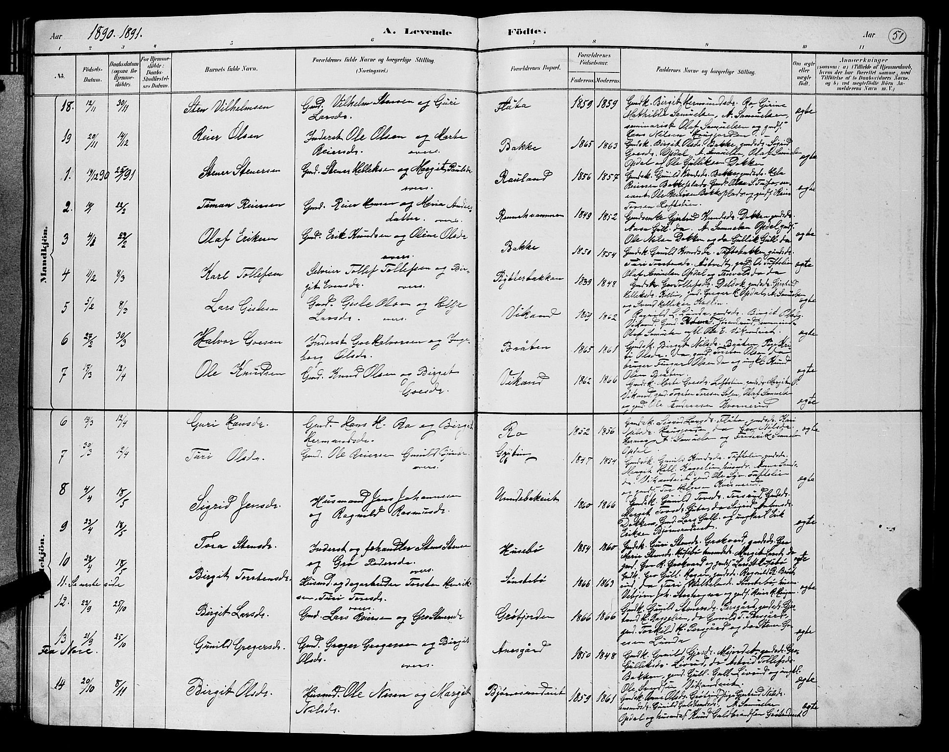 Nore kirkebøker, SAKO/A-238/G/Gb/L0002: Parish register (copy) no. II 2, 1878-1894, p. 51