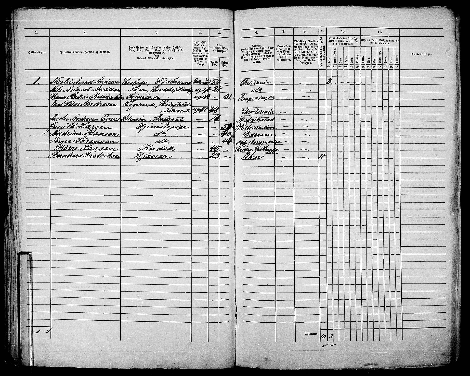 RA, 1865 census for Kristiania, 1865, p. 203