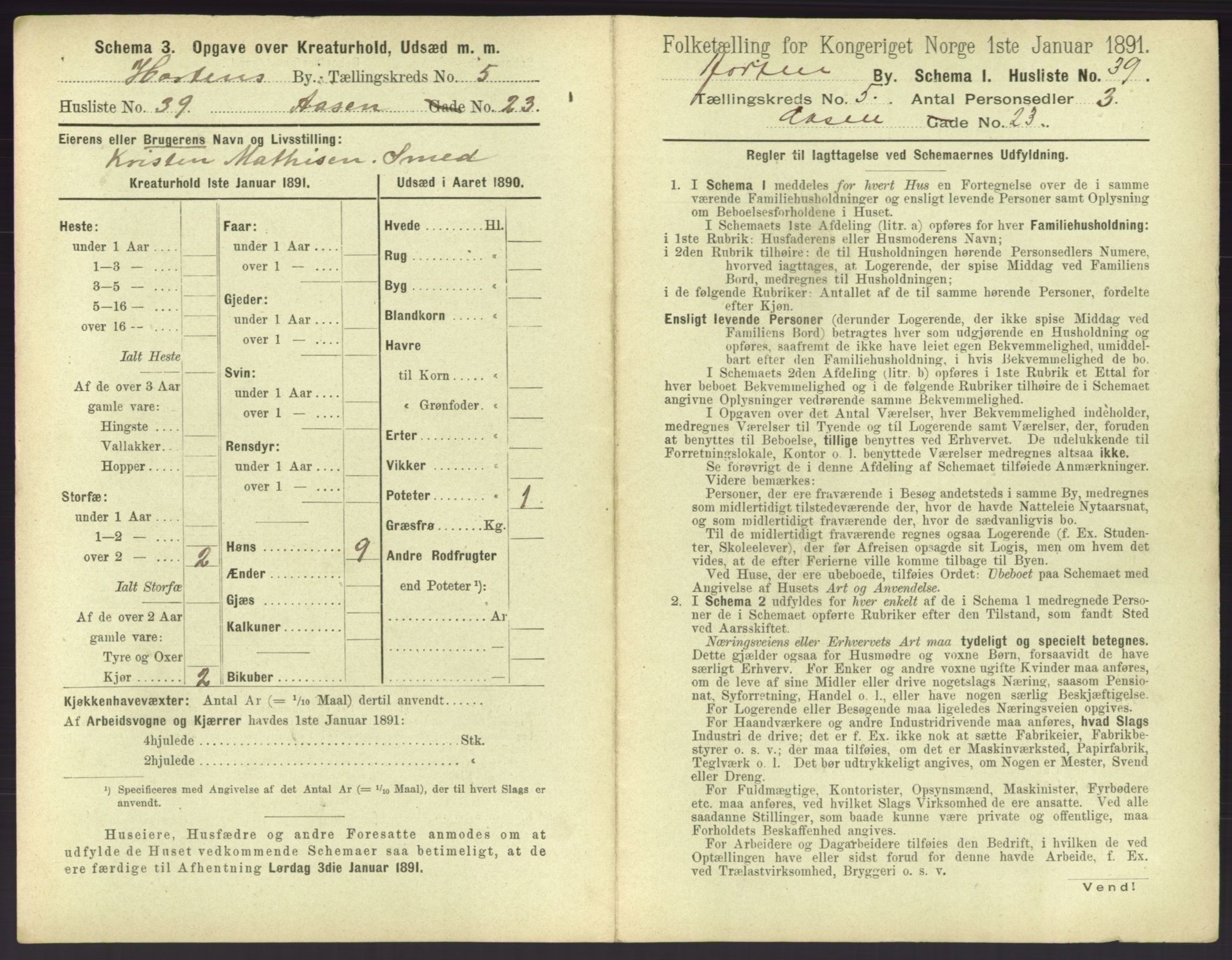 RA, 1891 census for 0703 Horten, 1891, p. 541