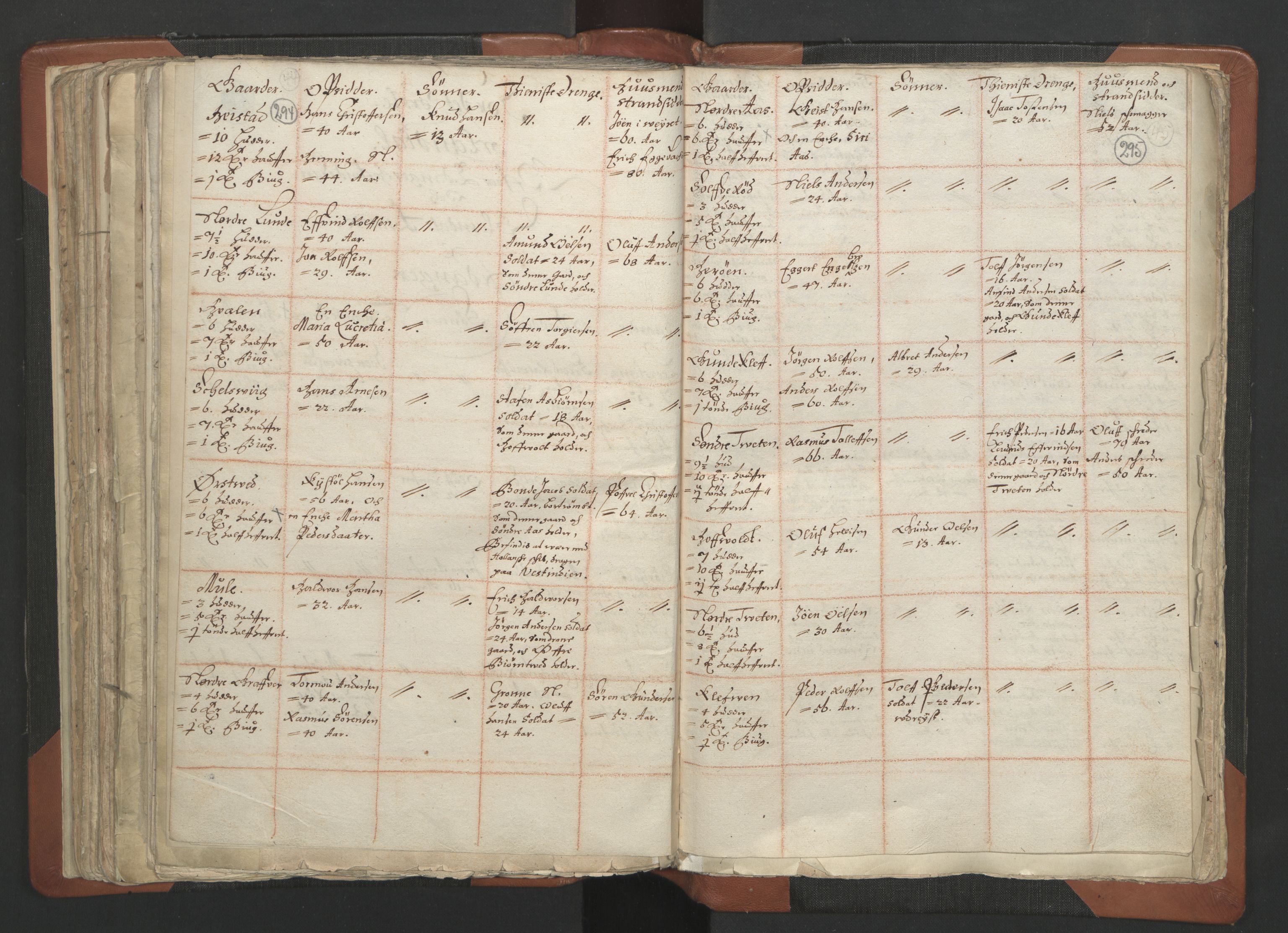 RA, Vicar's Census 1664-1666, no. 12: Øvre Telemark deanery, Nedre Telemark deanery and Bamble deanery, 1664-1666, p. 294-295