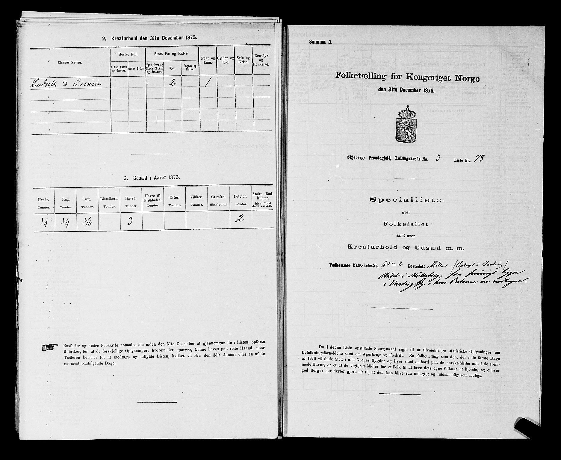 RA, 1875 census for 0115P Skjeberg, 1875, p. 706